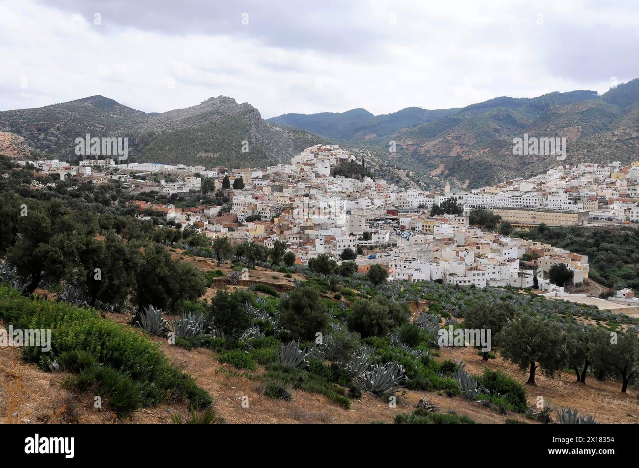 Moulay Idris, village de montagne aux bâtiments blancs entourés d'oliviers et de collines verdoyantes sous un ciel nuageux, Nord du Maroc, Maroc Banque D'Images