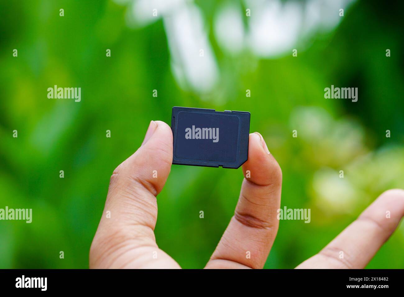 Main masculine tenant une carte mémoire sd, carte mémoire SD gros plan, carte mémoire appareil photo Banque D'Images