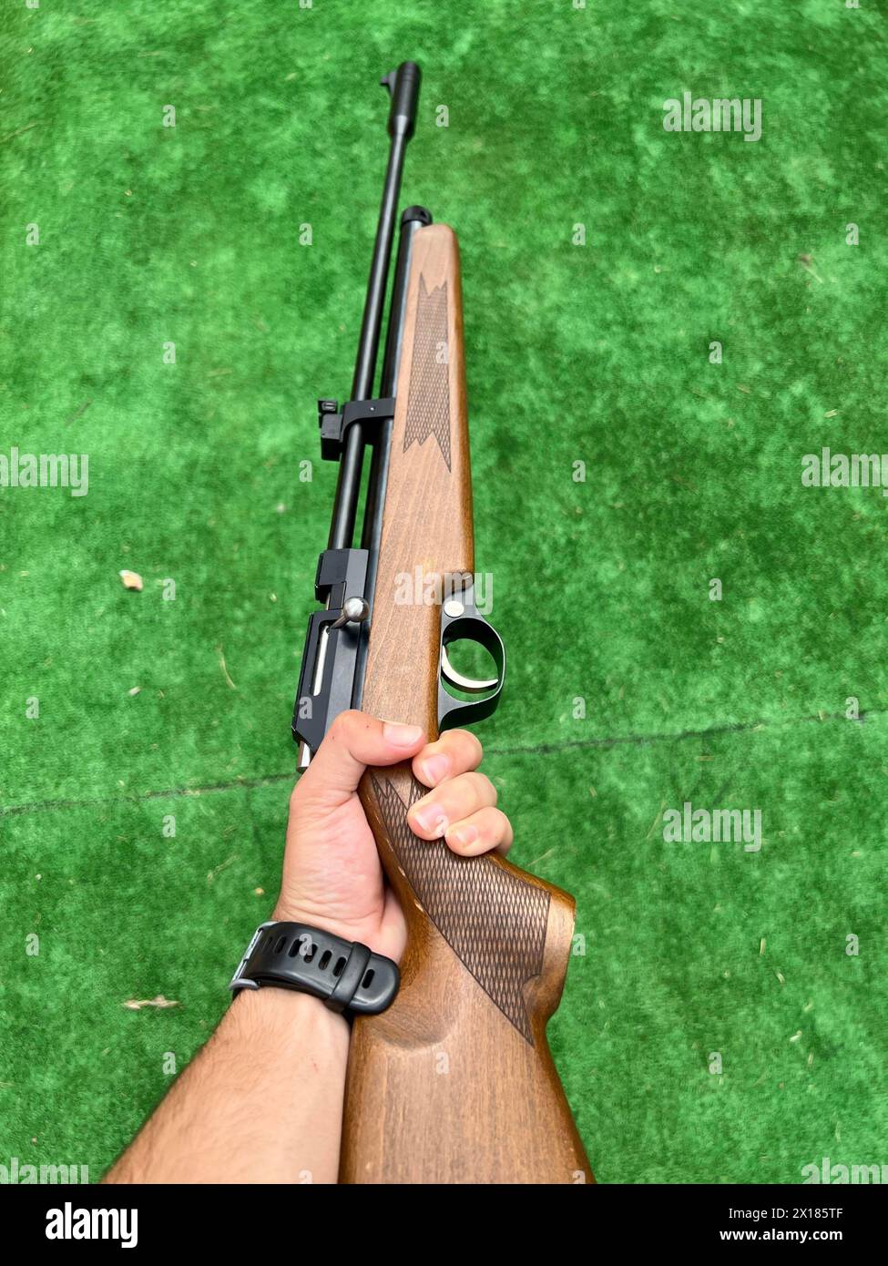 Image verticale d'une main tenant un fusil de chasse Banque D'Images