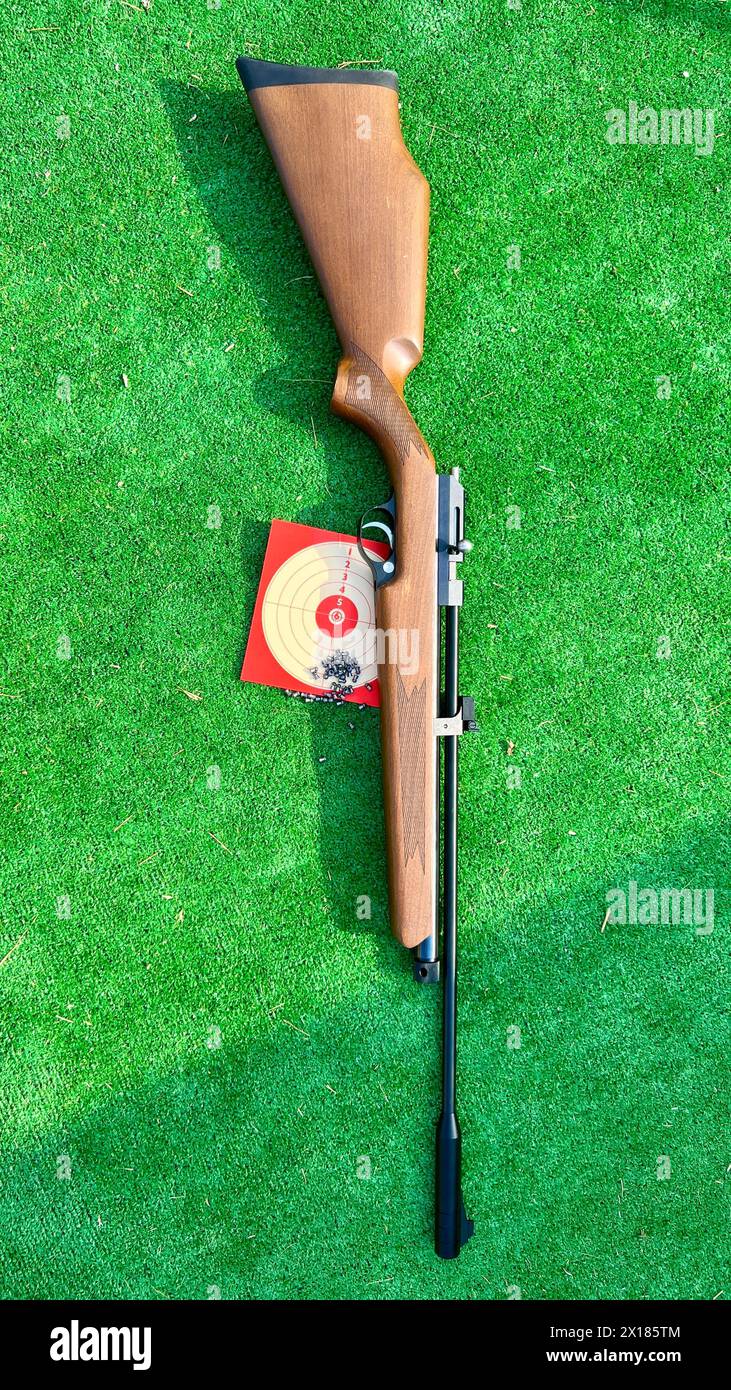 Image d'un pistolet airsoft avec des pastilles et une cible sur un fond vert Banque D'Images