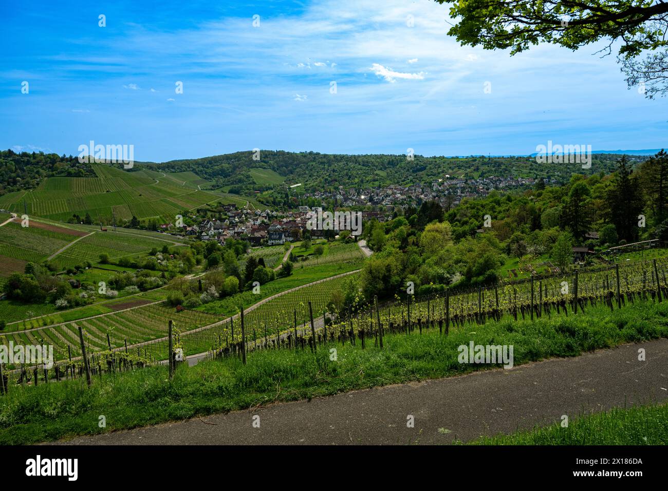 La chapelle funéraire de la Württemberg à Stuttgart-Rotenberg offre une vue pittoresque sur la vallée du Neckar et Stuttgart. Baden-Wuertemberg, allemand Banque D'Images
