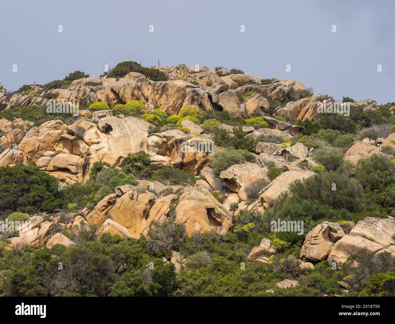 Rocher de granit sur une colline, île de la Maddalena, près de Maddalena, Parco Nazionale dell'Arcipelago di la Maddalena, Gallura, Sardaigne, Italie Banque D'Images