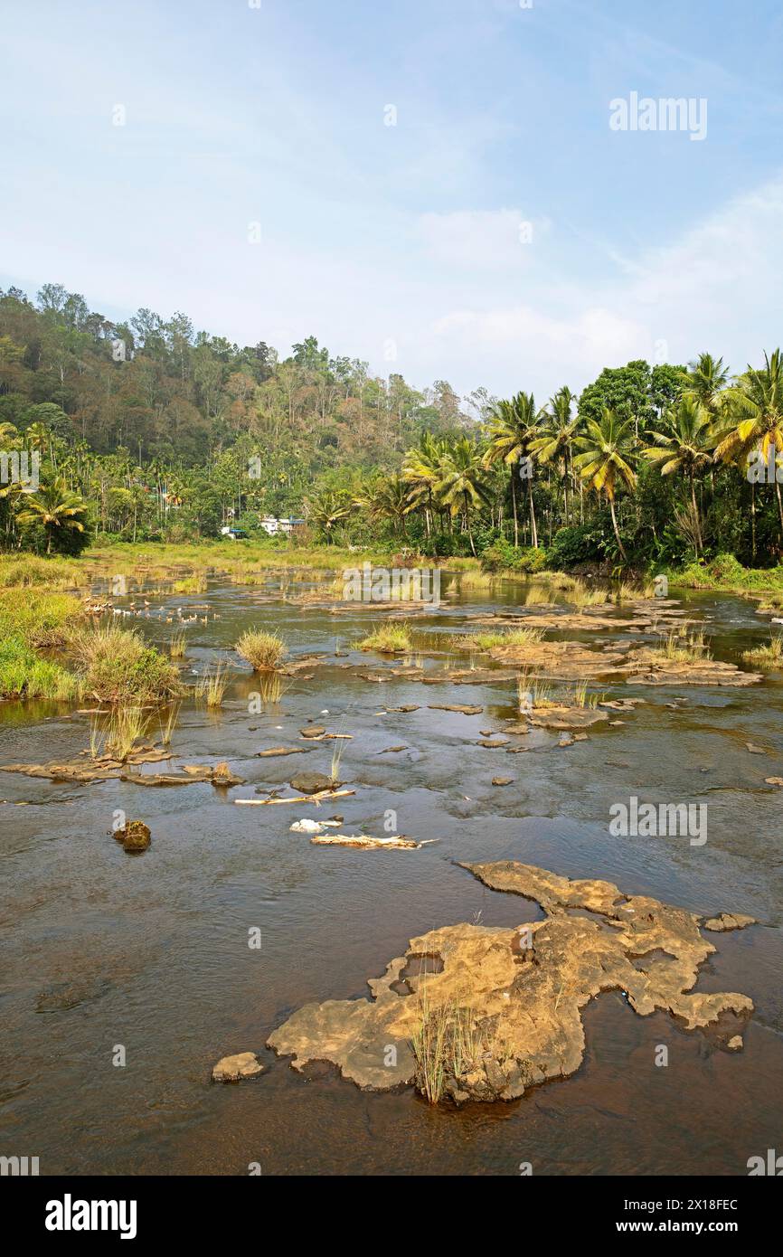 Rivière Periyar, Thekkady, Kerala, Inde Banque D'Images