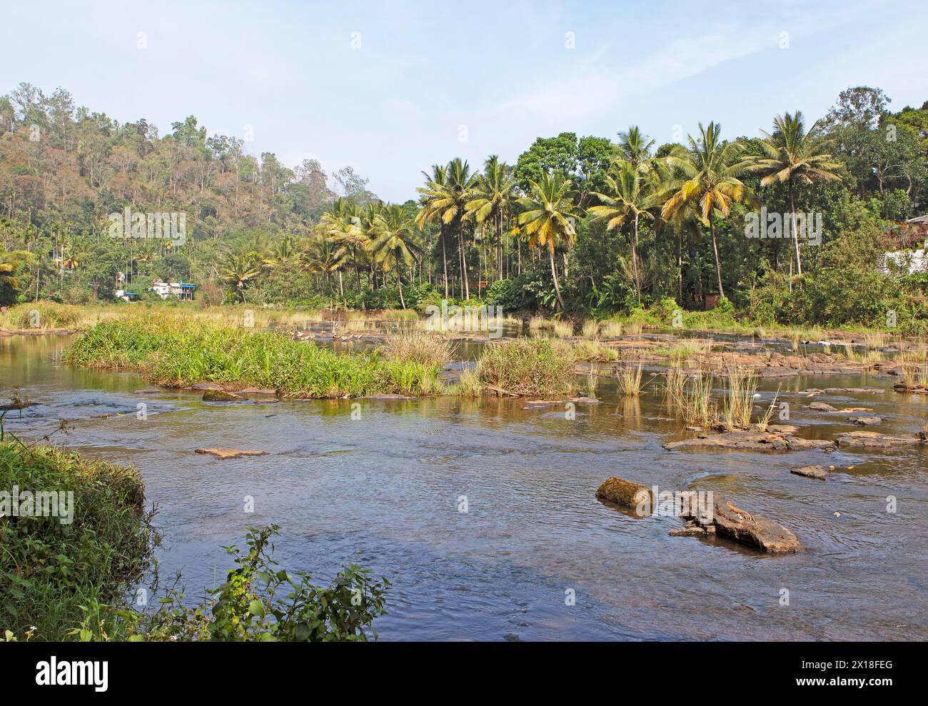 Rivière Periyar, Thekkady, Kerala, Inde Banque D'Images