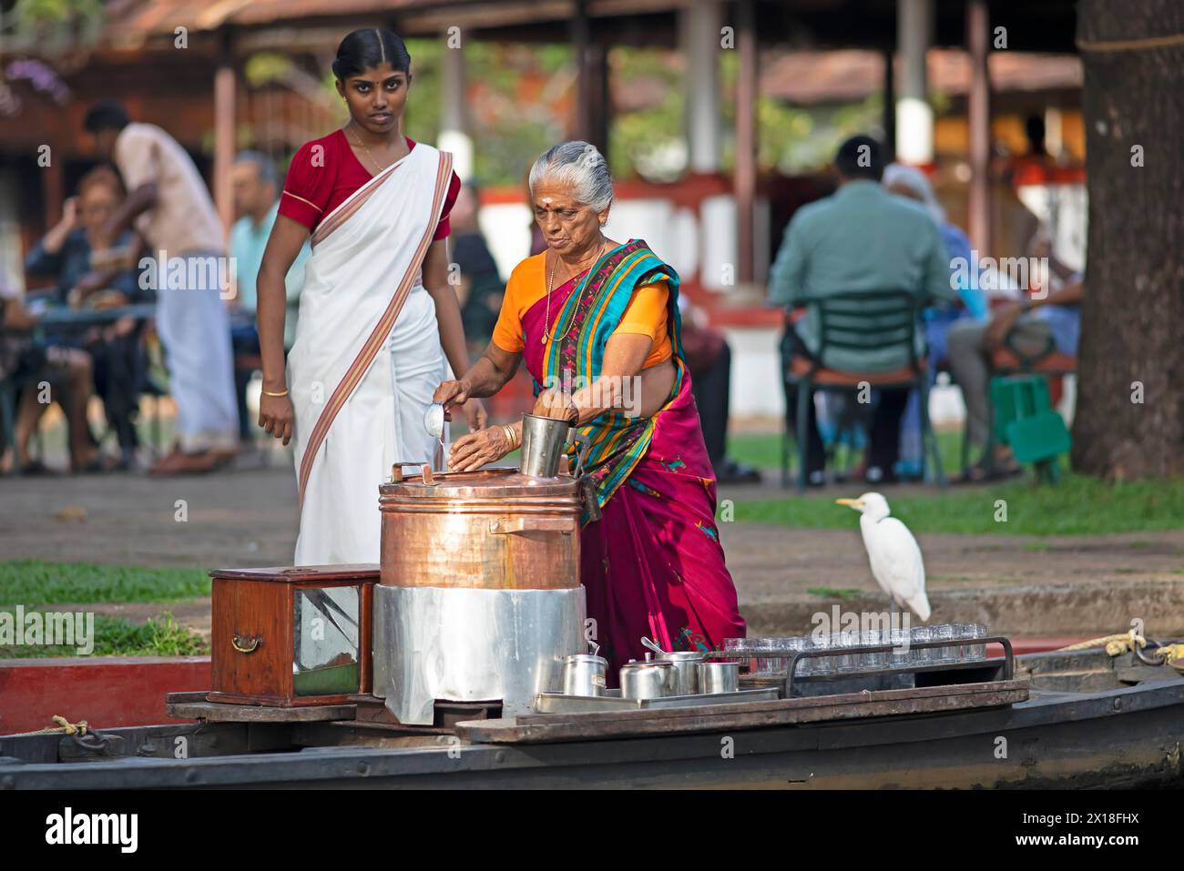 Tealady, 83 ans, fait du thé indien sur son bateau, Backwaters, Kumarakom, Kerala, Inde Banque D'Images