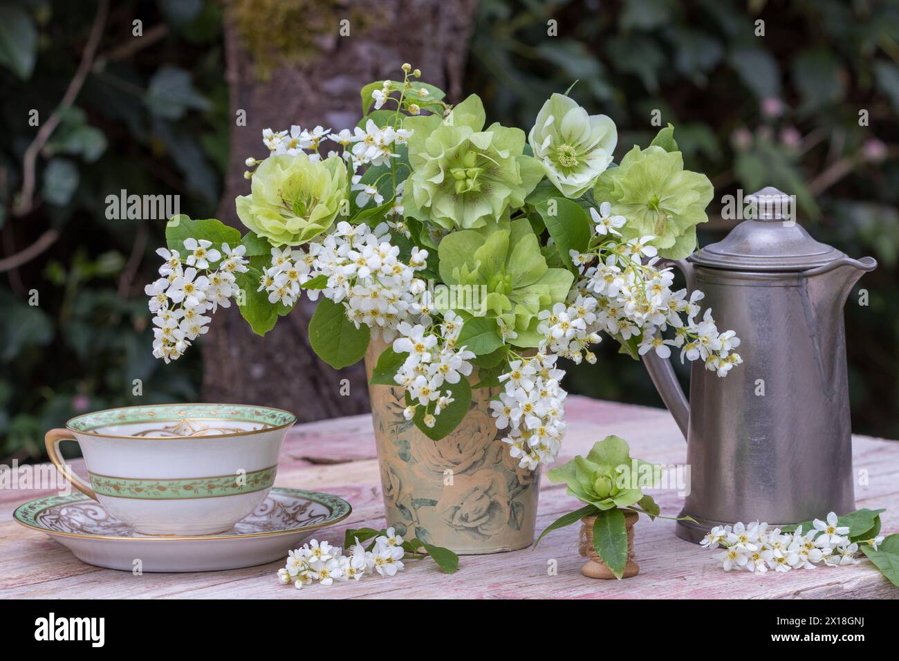 Arrangement avec bouquet de cerise d'oiseau européen et roses de carême, tasse en porcelaine vintage et canette de café Banque D'Images