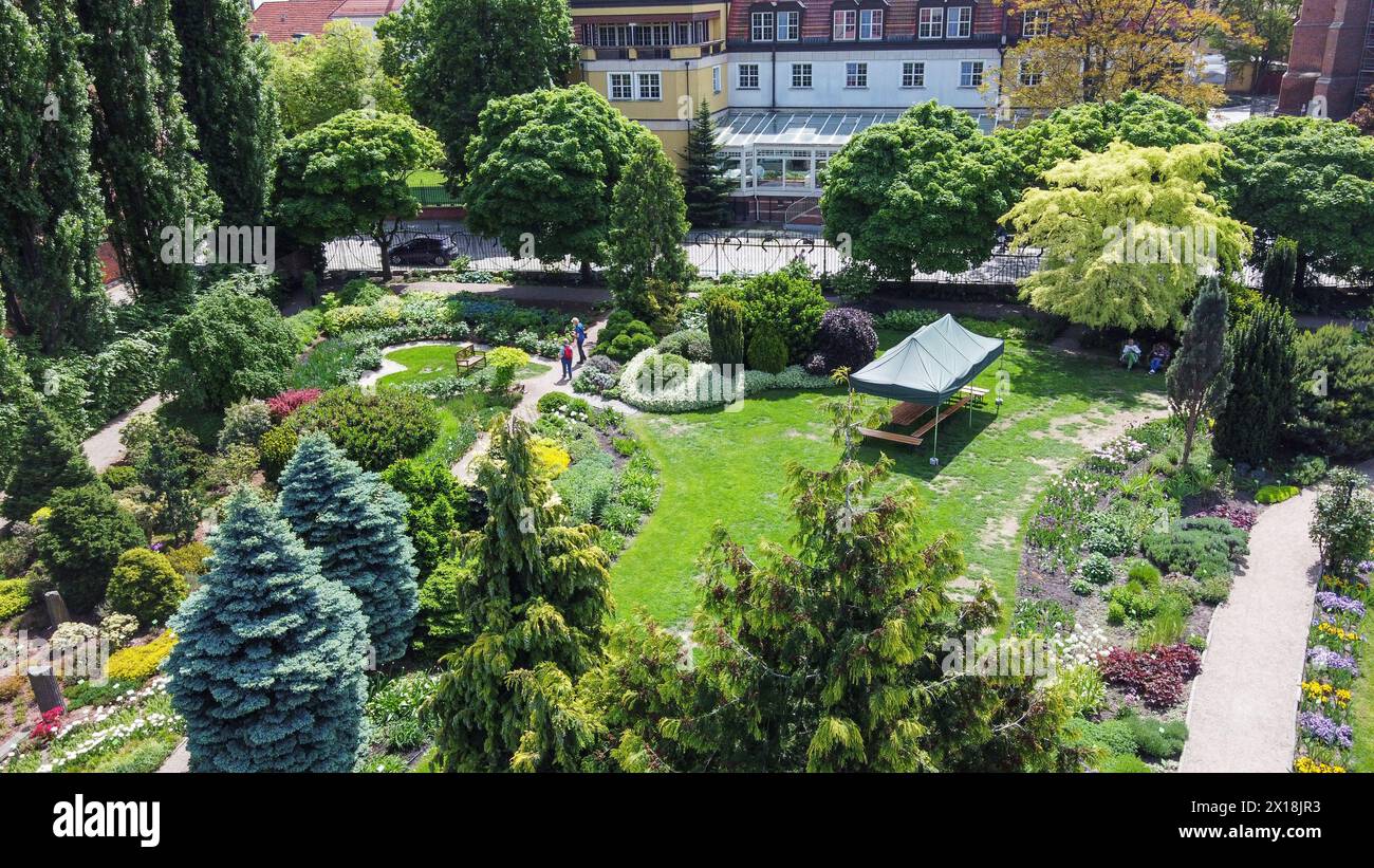 Incroyable point de vue de drone sur le jardin botanique de Wroclaw avec des parterres de fleurs et des chemins de jardin : parterres de fleurs Awe et sapins du Colorado (épinette blanche) et Banque D'Images