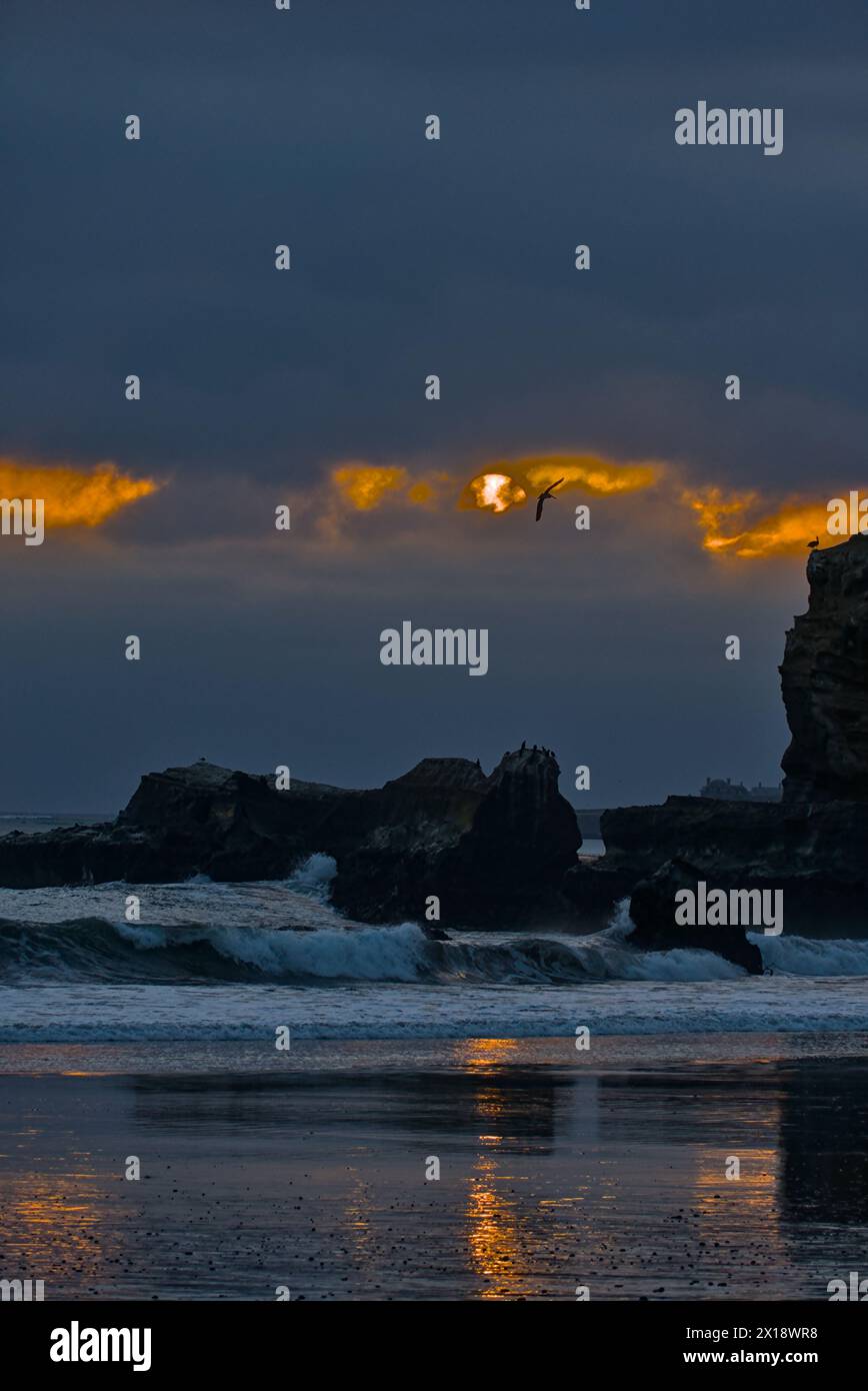 Coucher de soleil sur la plage dans le parc d'État de Año Nuevo, Californie Banque D'Images