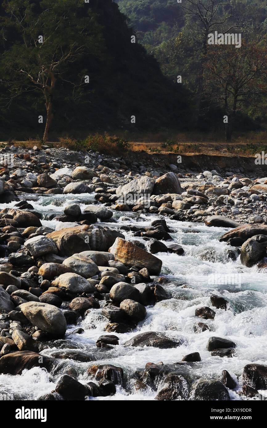 région terai-dooars du bengale occidental à dudhia. beau ruisseau de montagne (rivière balason) coulant à travers la vallée, himalaya foothills région en inde Banque D'Images