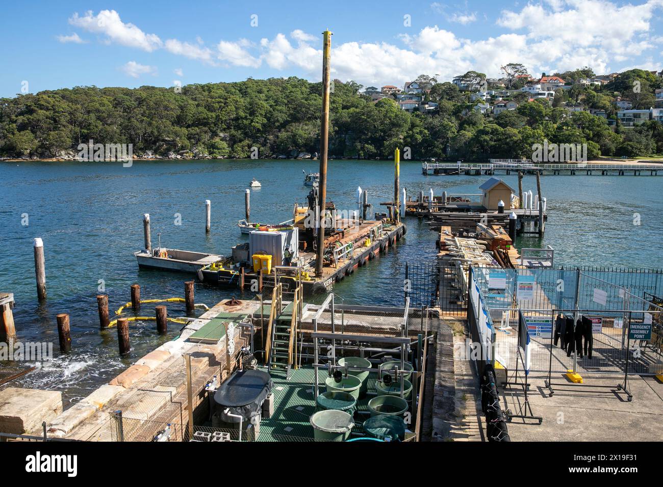 Chowder Bay Sydney Australie, des travaux de construction sont en cours pour remplacer la jetée endommagée du quai, des pieux de bois sont enfoncés dans le fond de l'océan Banque D'Images