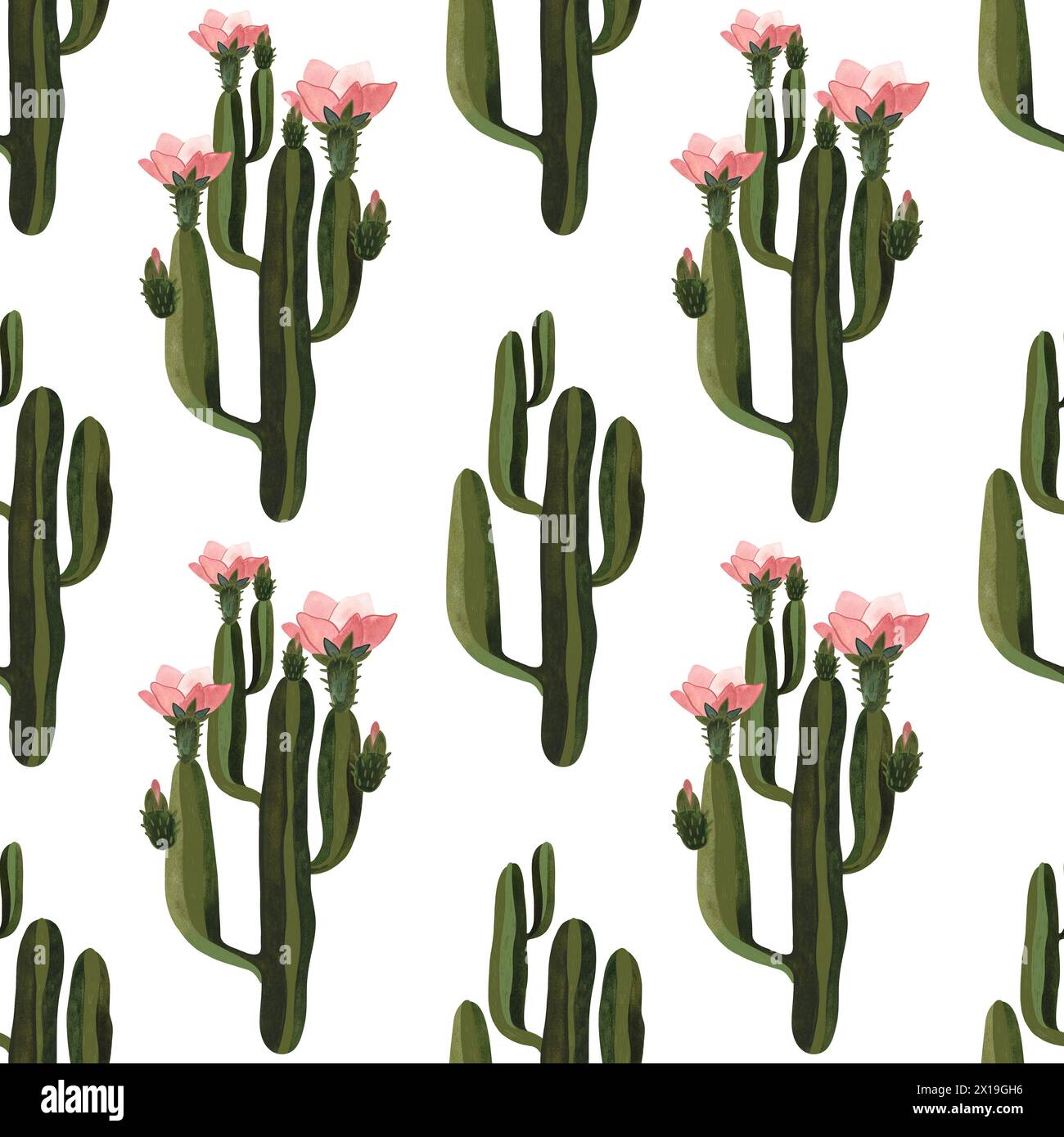 Cactus. Motif aquarelle sans couture pour papier d'emballage, papier peint et textiles. Banque D'Images