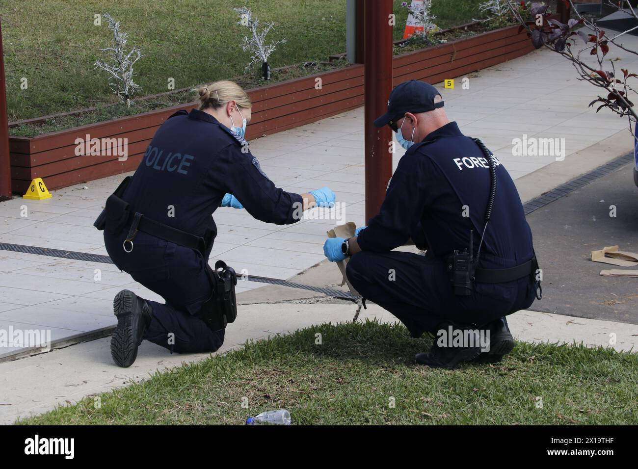 Sydney, Australie. 16 avril 2024. Des policiers légistes travaillent dans l'enceinte d'une église où une attaque à l'arme blanche a eu lieu à Sydney, Australie, le 16 avril 2024. L'attaque à l'arme blanche dans une église de Sydney pendant la nuit était un acte «terroriste» motivé par la religion, a déclaré la police mardi. L'attaque à l'arme blanche, au cours de laquelle deux dirigeants de l'église ont été blessés, a été considérée comme un acte d'extrémisme religieux qui intimidait le public, a déclaré Webb lors d'une conférence de presse. Un porte-parole de l'ambulance de Nouvelle-Galles du Sud a confirmé que quatre personnes avaient été blessées dans l'attaque. Crédit : Xinhua/Alamy Live News Banque D'Images