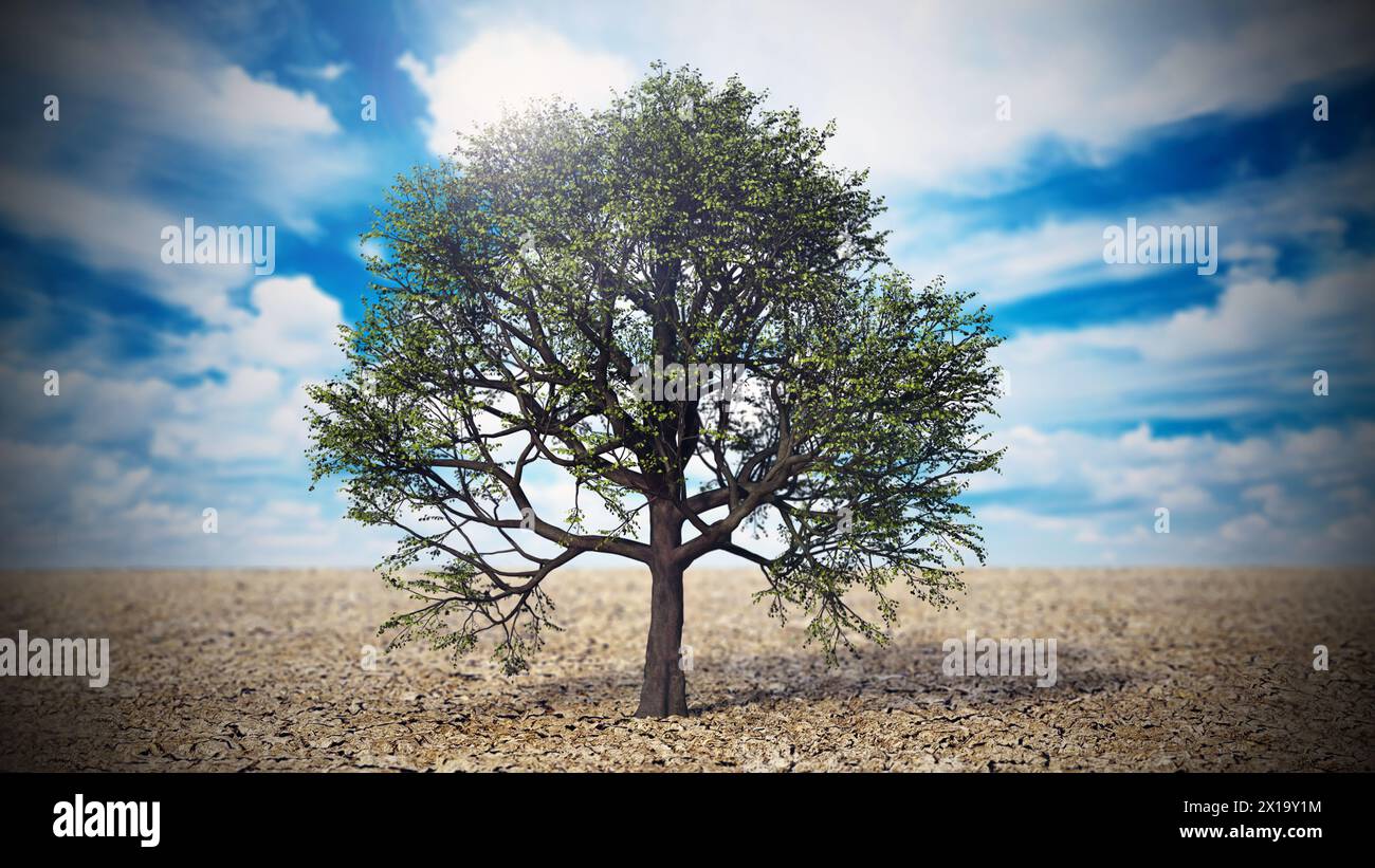Chêne vert au milieu du désert. Le changement climatique et le réchauffement de la planète. 3D illustration. Banque D'Images