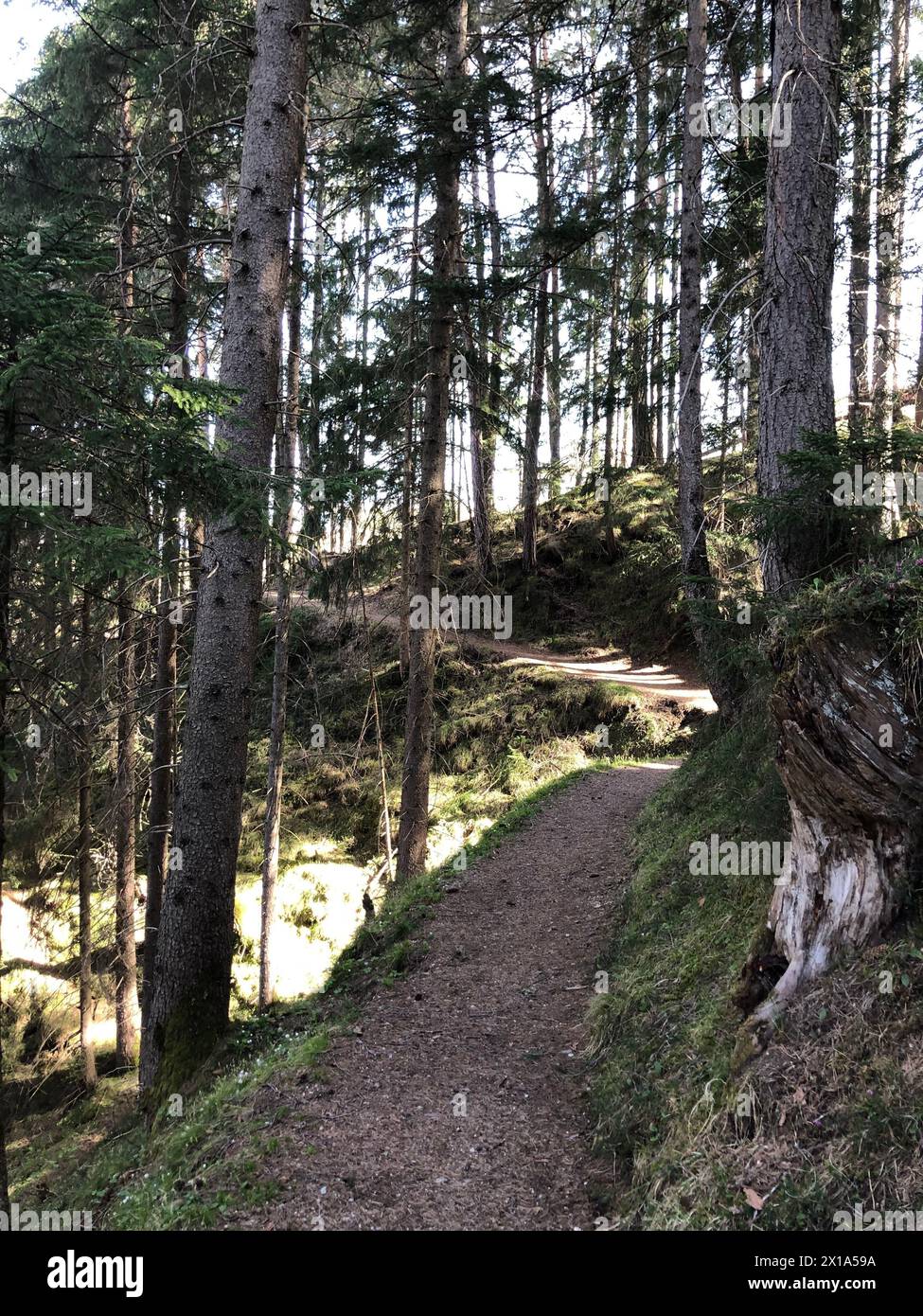 Chemin de randonnée à travers et autour de la vallée de Stubai en Autriche Alpes .belle vue sur les montagnes . Glacier Stubai , région du Tyrol . Banque D'Images