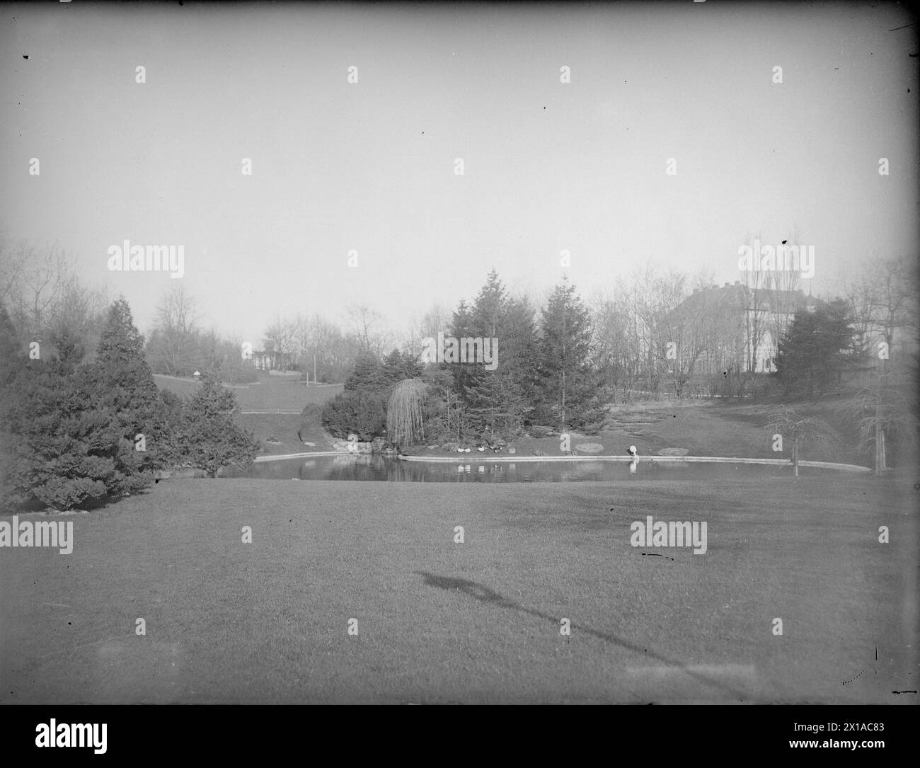 Vienne 18, Tuerkenschanzpark (Tuerkenschanz Park), étang ornemental de Welt, derrière un bâtiment, avant lui un pré de tonte. Ombre d'un lampadaire, 1890 - 18900101 PD1261 - Rechteinfo : droits gérés (RM) Banque D'Images