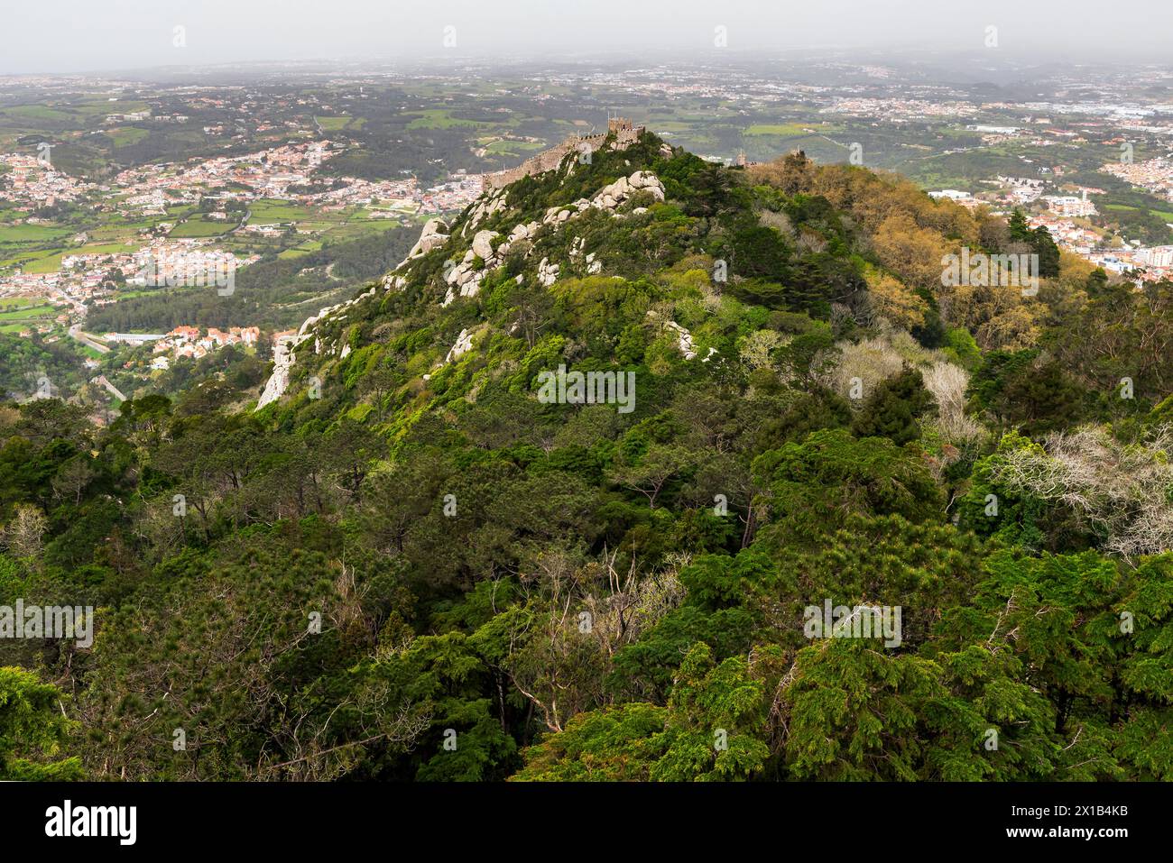 Ruine du château des Maures au-dessus de la ville de Sintra, district de Lisbonne, Portugal. Banque D'Images