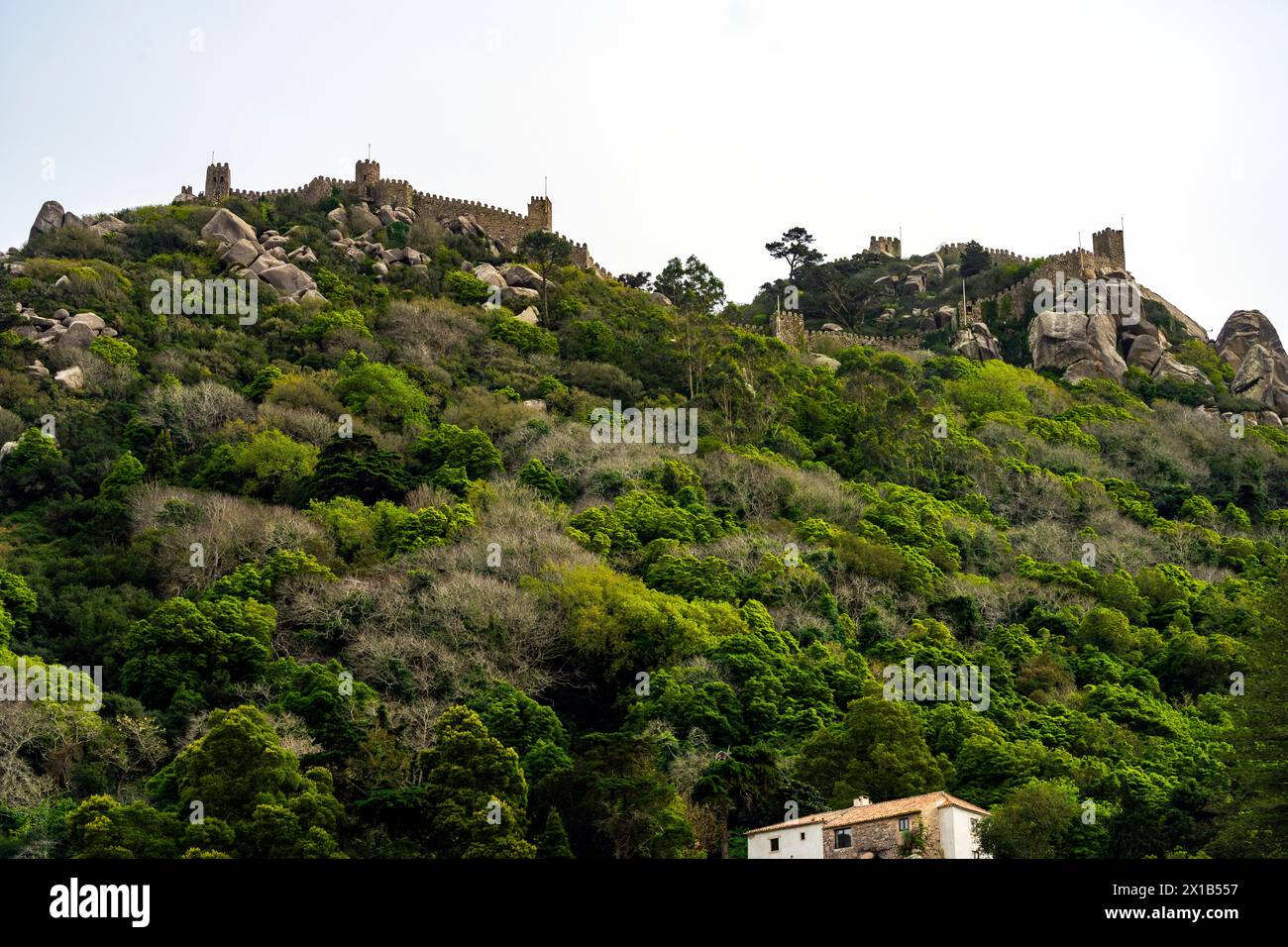 Vue panoramique sur le Château des Maures au-dessus de la ville de Sintra, quartier de Lisbonne, Portugal. Banque D'Images