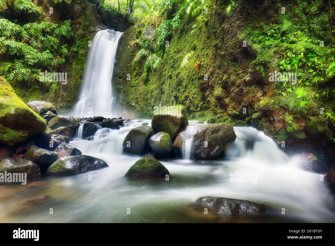 Belles cascades des Açores - Salto do Prego, ruisseau vert dans la forêt tropicale Banque D'Images