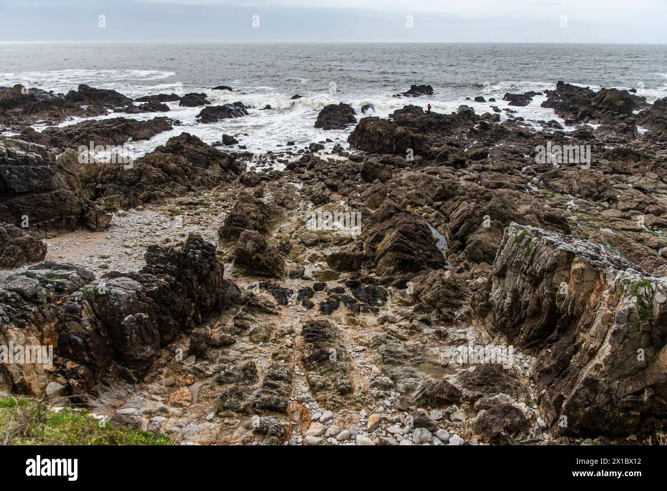 Côte océanique rocheuse en Bretagne, France à marée basse. Banque D'Images