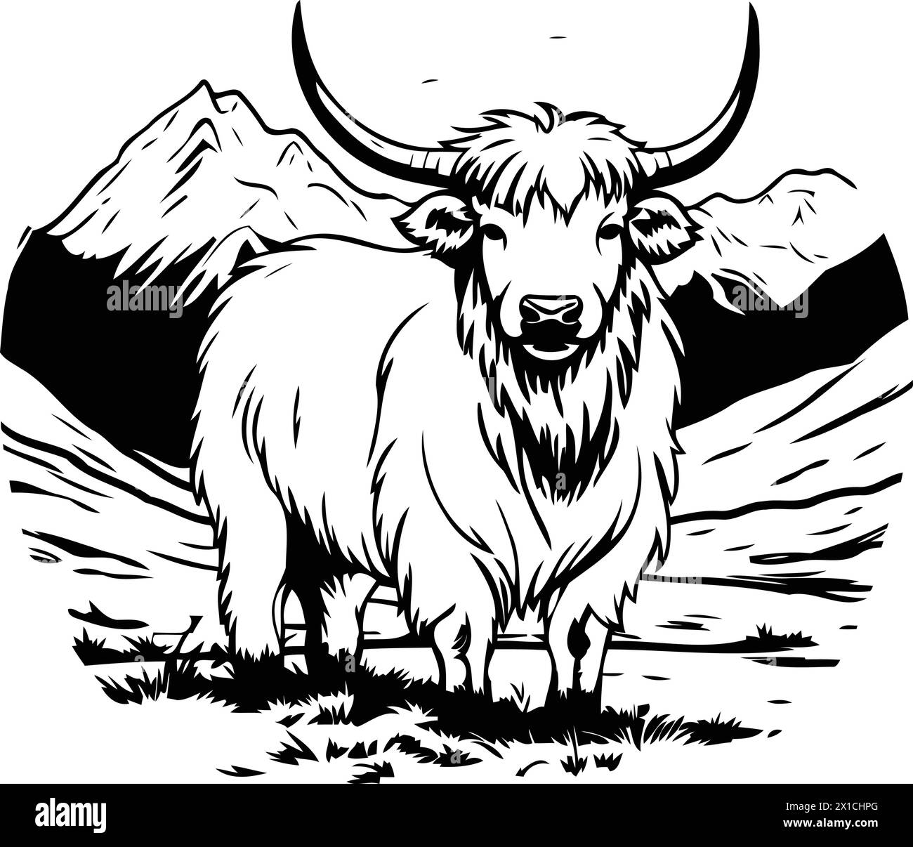 Yak dans les montagnes. Illustration vectorielle d'un yak blanc. Illustration de Vecteur