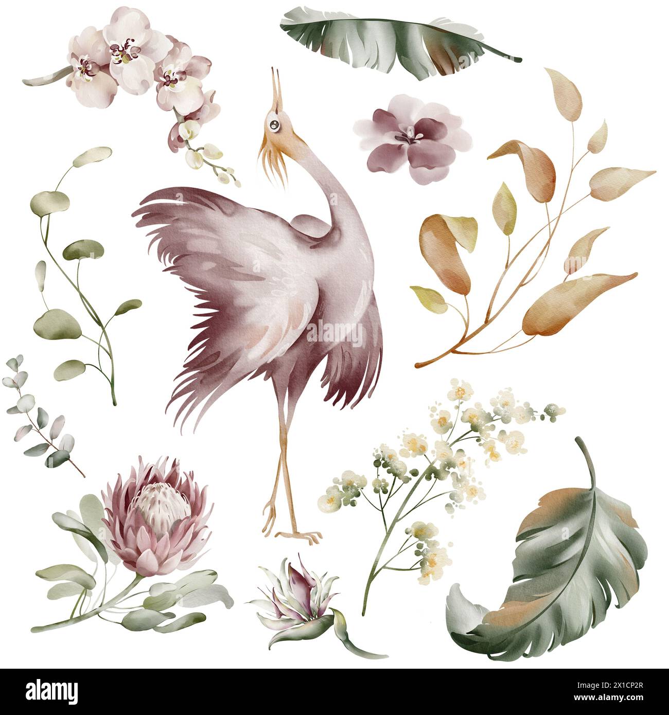 Oiseaux Ibis roses. Éléments d'aquarelle d'oiseaux tropicaux, de fleurs et de plantes. Plantes de banane et orchidée, flamant rose australien sur fond blanc. Banque D'Images