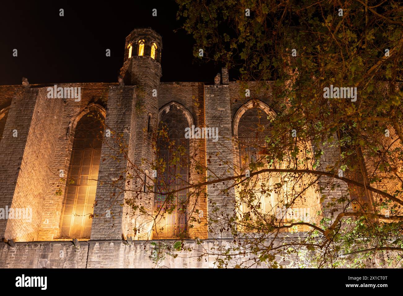 Barcelone, Espagne : façade de Santa Maria del Pi la nuit, quartier Barri Gotic Banque D'Images