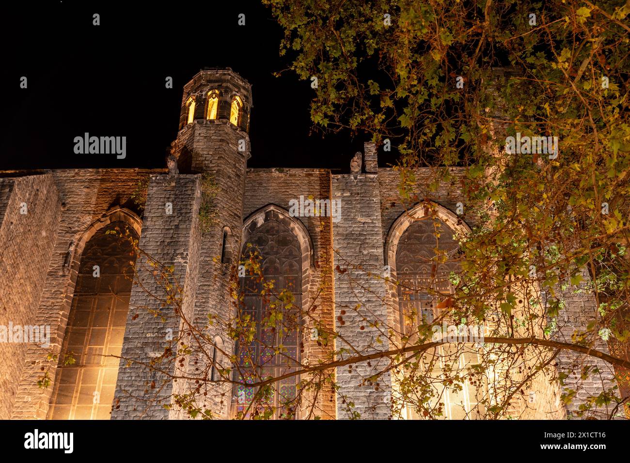 Barcelone, Espagne : façade de Santa Maria del Pi la nuit, quartier Barri Gotic Banque D'Images
