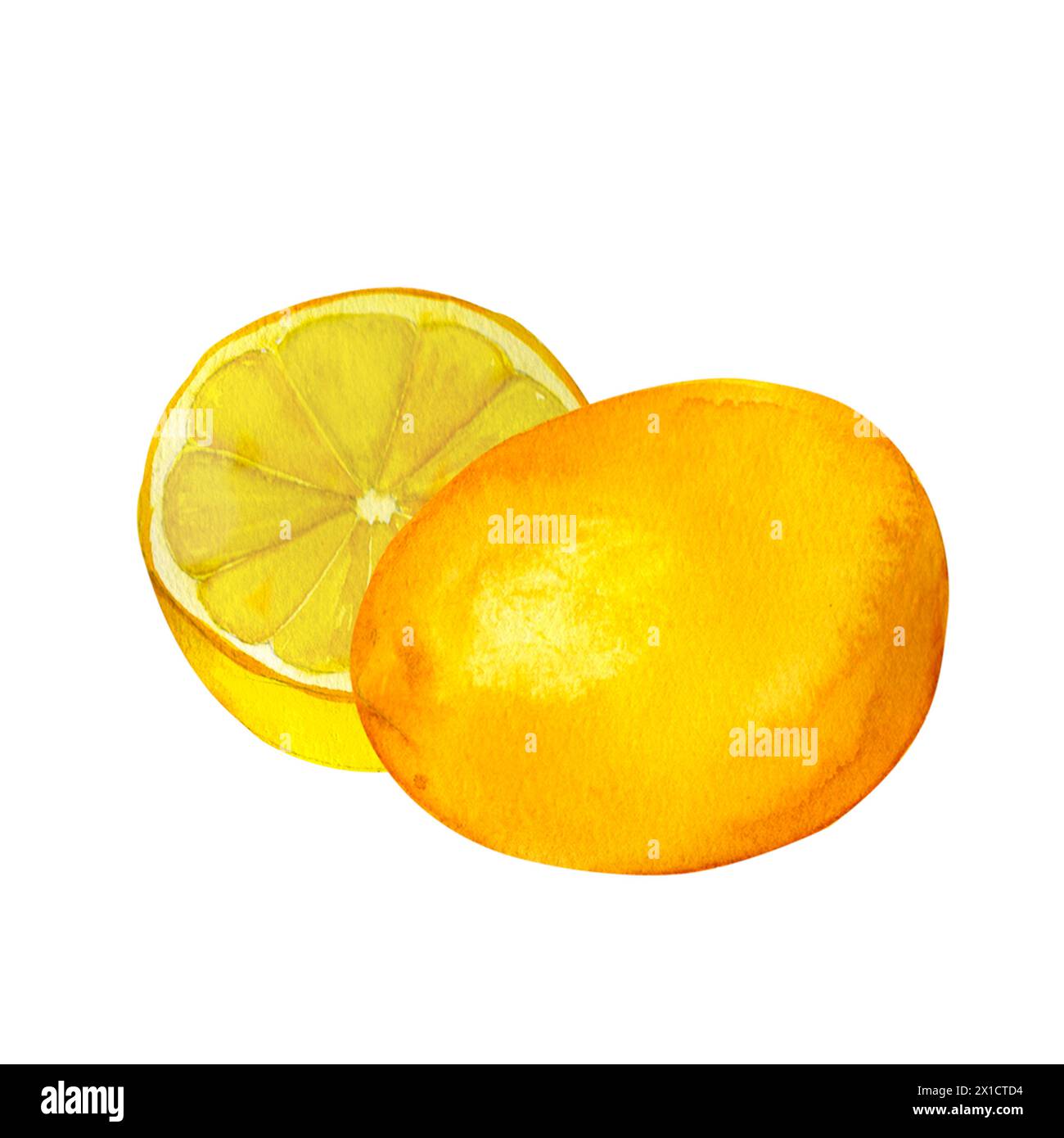 Citron, aquarelle peinte à la main, isolé sur fond blanc.il peut être utilisé pour les impressions sur textile et papier, pour les vêtements, pour la conception des assiettes et des plats Banque D'Images