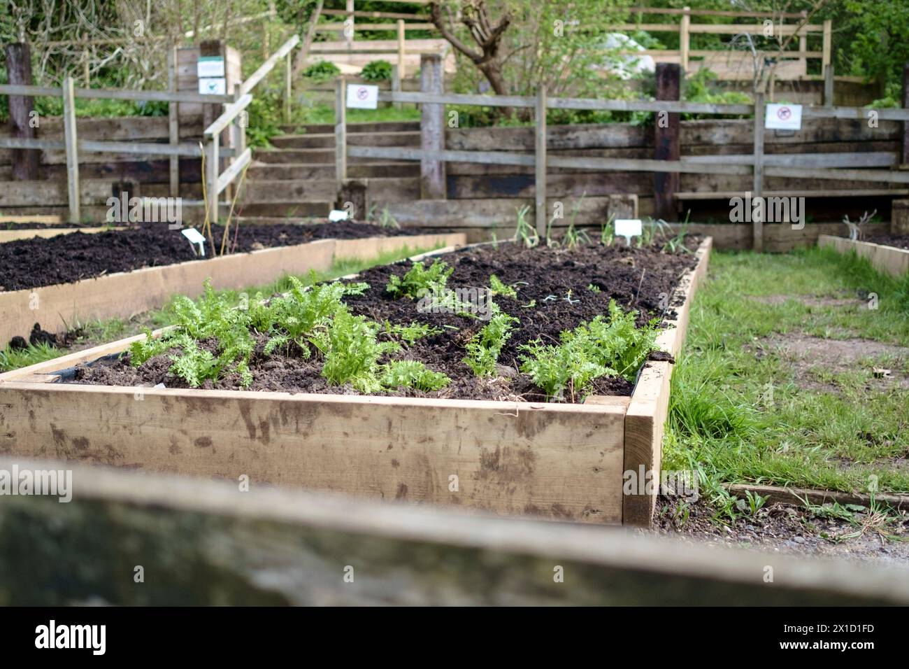 Autour de St Werburgh est une banlieue de Bristol UK The City Farm Banque D'Images