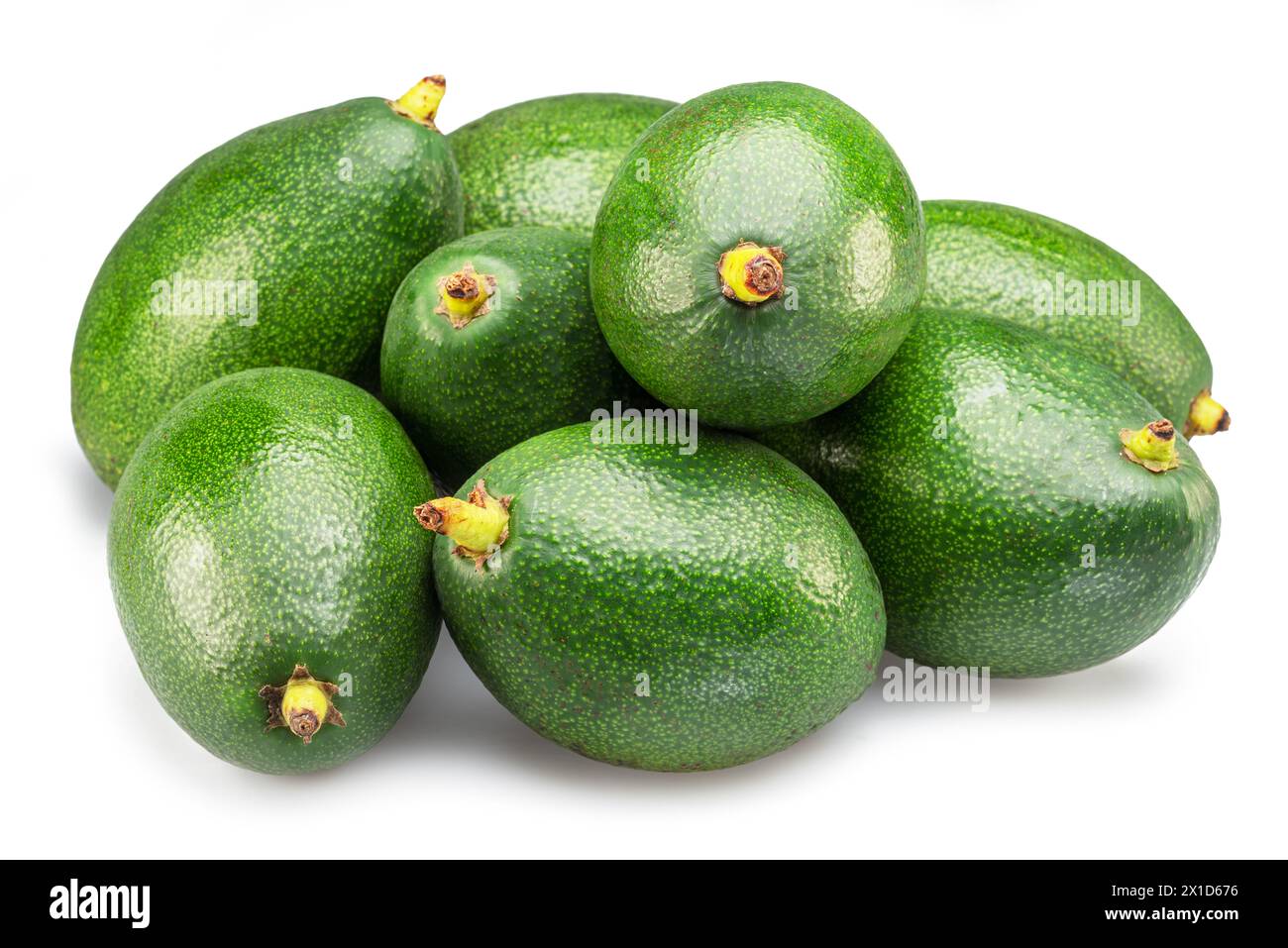 Lot de fruits d'avocat isolé sur fond blanc. Banque D'Images