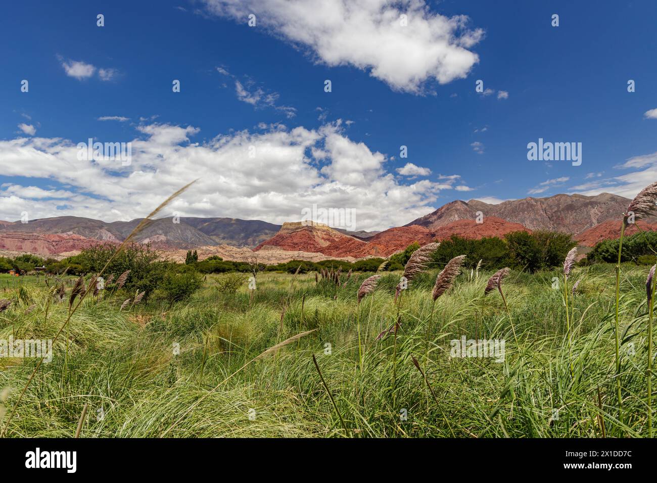 Vue panoramique sur les collines à Uquia, province de Jujuy, Argentine. Banque D'Images