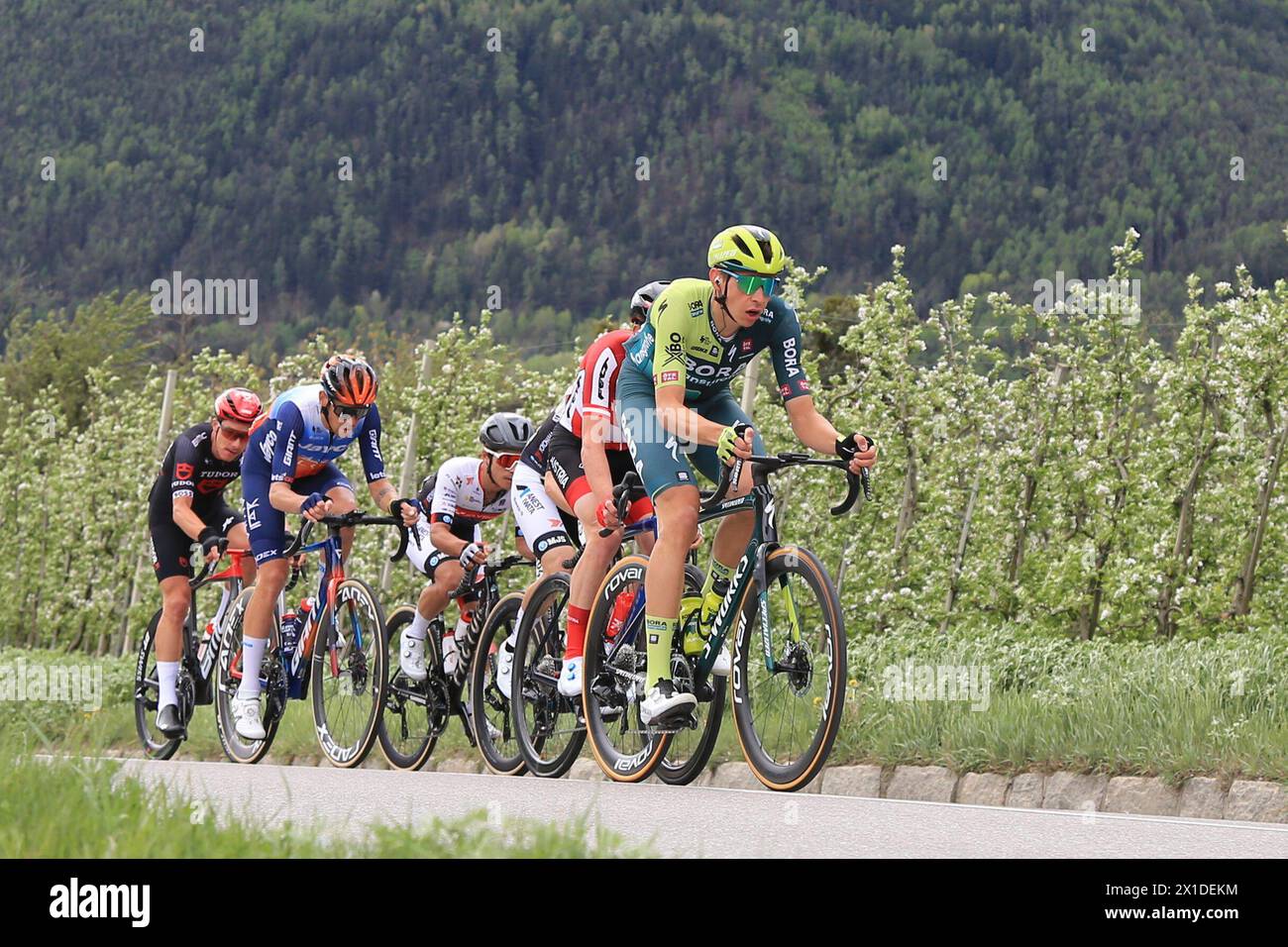 Stans, Autriche. 16 avril 2024. © Pierre Teyssot/MAXPPP ; TOUR DES ALPES 2024 - UCI Cycling Race Tour des Alpes. Stans, Autriche, le 16 avril 2024. Étape 2 de 190 km de Salurn -Salorno à Stans. Italie Alessandroo de Marchi (JAY) remporte l'étape 2. Tobias Foss (NOR) IGD reste leader. Patrick Gamper (AUT) BOH mène un groupe avec de Marchi © Pierre Teyssot/Maxppp crédit : MAXPPP/Alamy Live News Banque D'Images