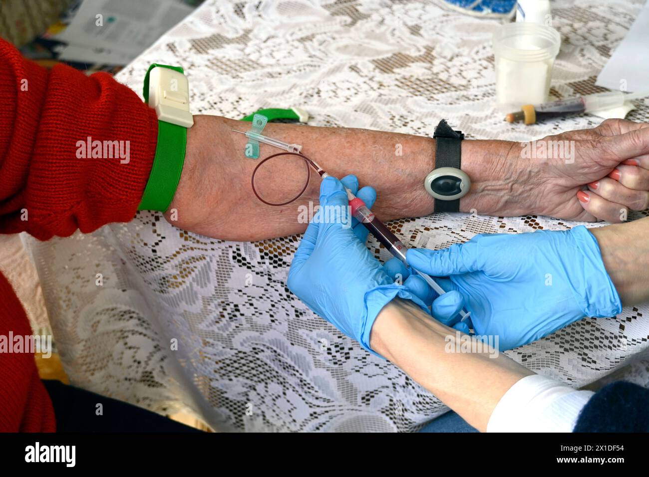 München, 20.03.24, Ärztin nimmt alter Patientin Blut ab, Blutabnahme, Nadel, Flügelkanüle Butterfly - Kanüle oder Schmetterling genannt besondere Form der Kanüle. Blutentnahme, intravenöse Applikation von Medikamenten oder Flüssigkeitstherapie, Vacusera Blutentnahmenadeln, Venen, Vene, *** Munich, 20 03 24, le médecin prend le sang du vieux patient, prélèvement sanguin, aiguille, canule papillon ou papillon appelé forme spéciale de prélèvement sanguin canule, application intraveineuse de médicaments ou de thérapie fluidique, aiguilles de prélèvement sanguin Vacusera, veines, veine, Banque D'Images