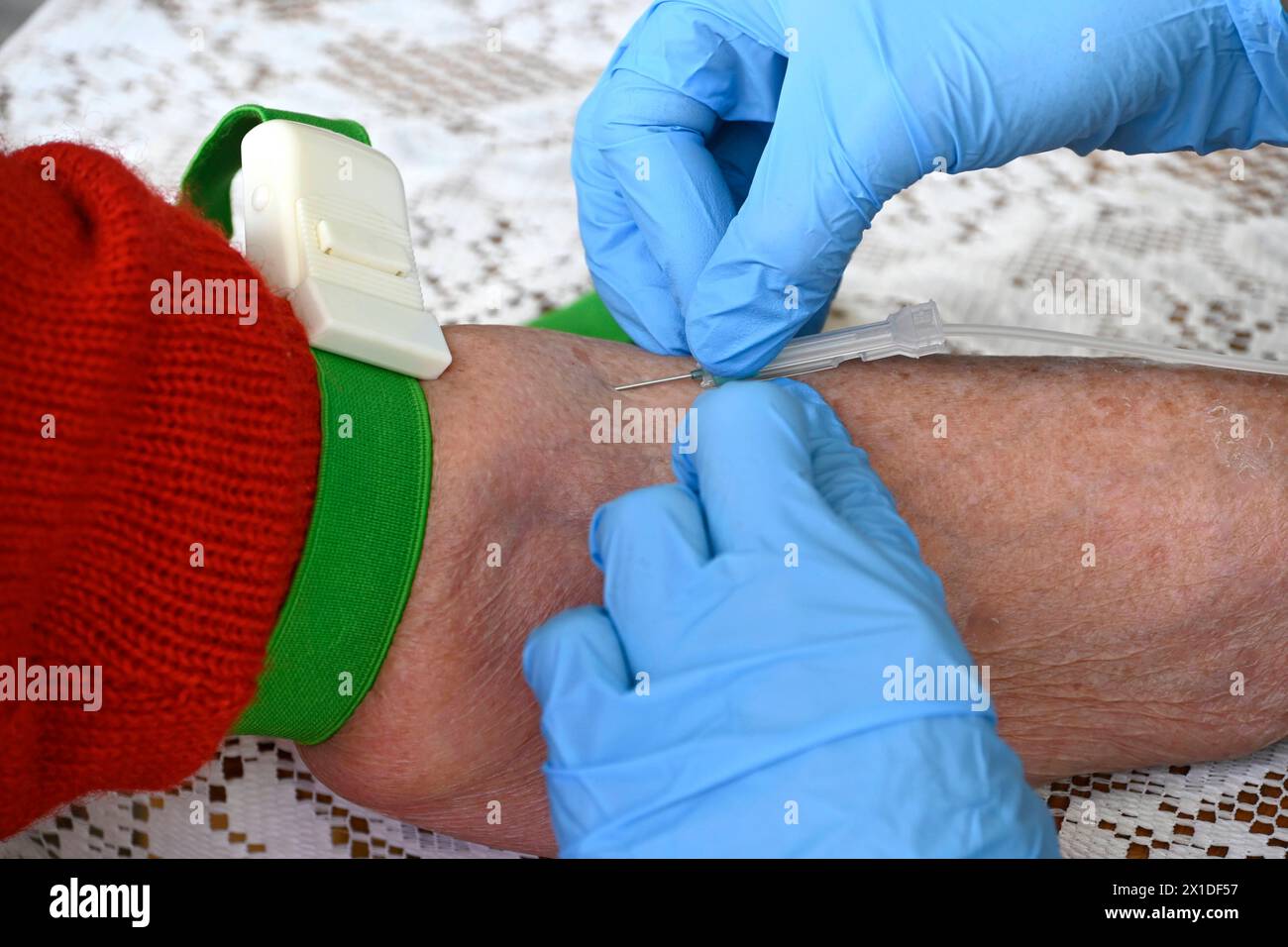München, 20.03.24, Ärztin nimmt alter Patientin Blut ab, Blutabnahme, Nadel, Flügelkanüle Butterfly - Kanüle oder Schmetterling genannt besondere Form der Kanüle. Blutentnahme, intravenöse Applikation von Medikamenten oder Flüssigkeitstherapie, Vacusera Blutentnahmenadeln, Venen, Vene, *** Munich, 20 03 24, le médecin prend le sang du vieux patient, prélèvement sanguin, aiguille, canule papillon ou papillon appelé forme spéciale de prélèvement sanguin canule, application intraveineuse de médicaments ou de thérapie fluidique, aiguilles de prélèvement sanguin Vacusera, veines, veine, Banque D'Images