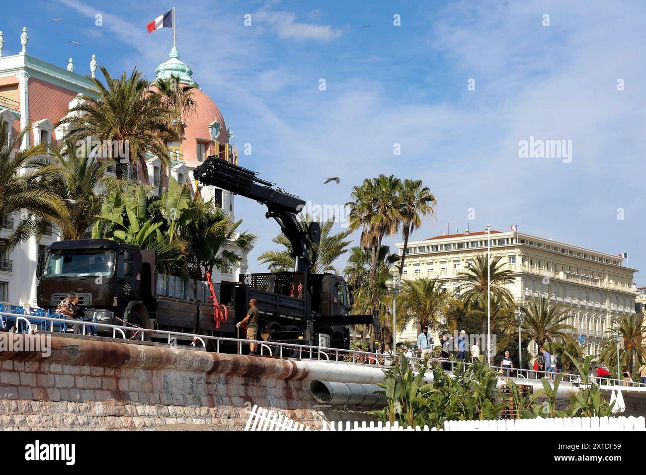 © Francois Glories/MAXPPP - 16/04/2024 des palmiers ont été plantés sur la plage de l'hôtel Negresco, sur la Promenade des Anglais, et les plages privées de la ville sont de plus en plus arborées. Crédit : MAXPPP/Alamy Live News Banque D'Images