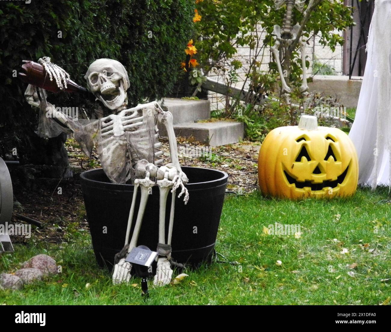 squelettes dans le jardin avant, halloween, états-unis Banque D'Images