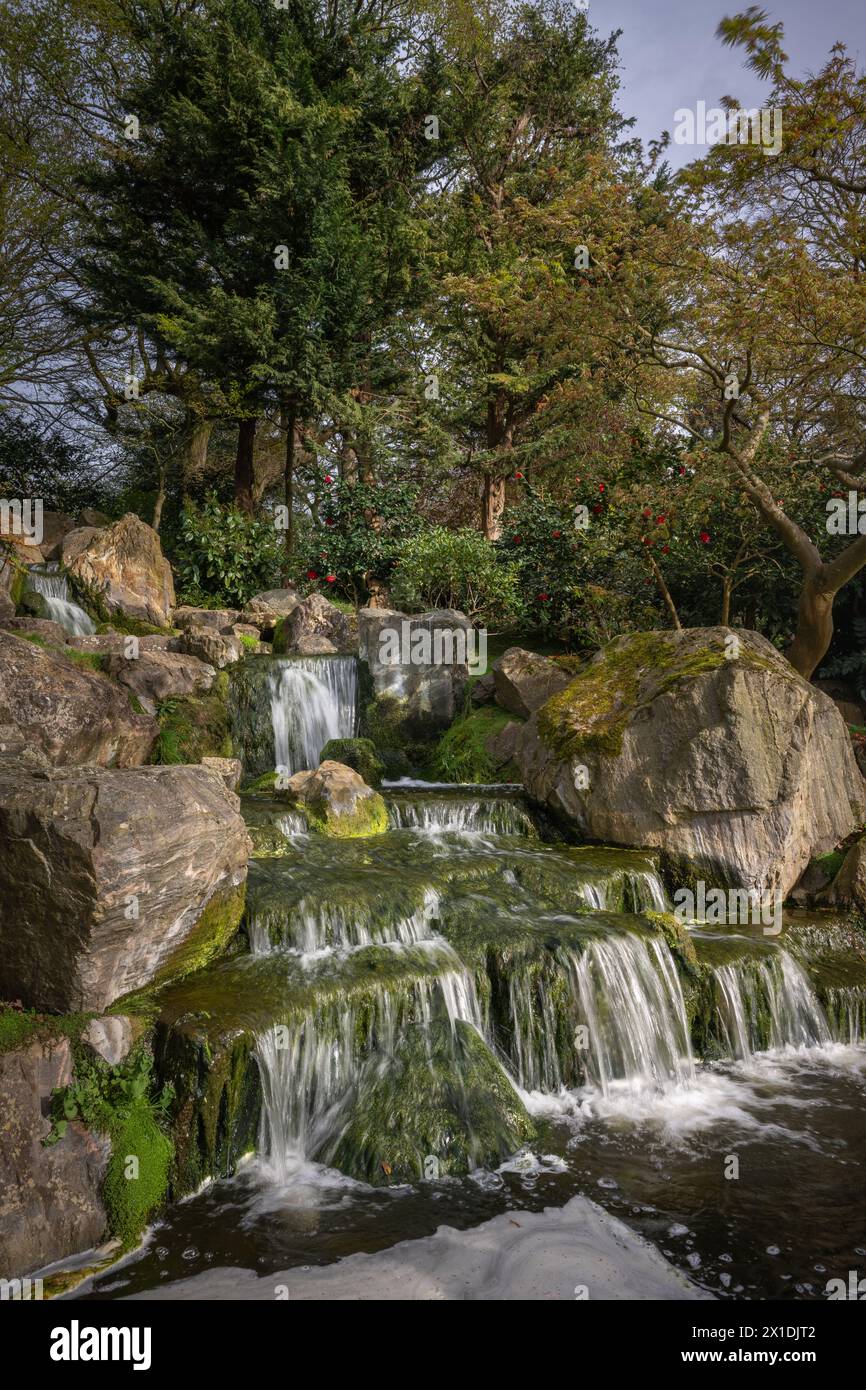 Cascade dans le jardin de Kyoto, un jardin japonais dans Holland Park, Londres, Royaume-Uni. Holland Park est un parc public avec des bois et des jardins à Kensington. Banque D'Images