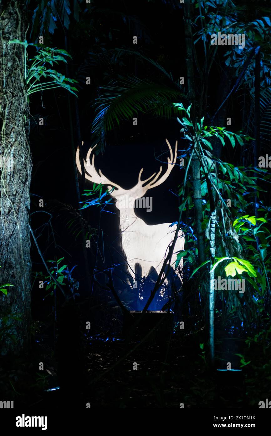 Singapour - 7 mars 2024 : Stag Patronus à Harry Potter Forbidden Forest Experience à Siloso point, Coastal Trail, Sentosa. C'est un sentier extérieur avec Banque D'Images