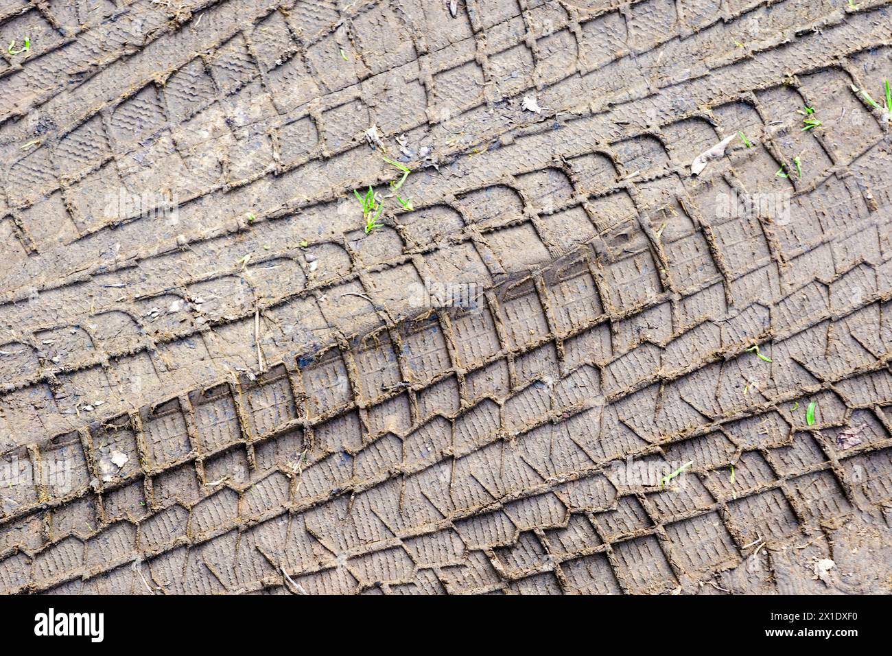 Le motif de la bande de roulement des pneus de voiture imprime dans la boue, le protecteur de roue marque la texture, les traces de pneu dans la boue, les empreintes de pneu sur une route boueuse humide Banque D'Images