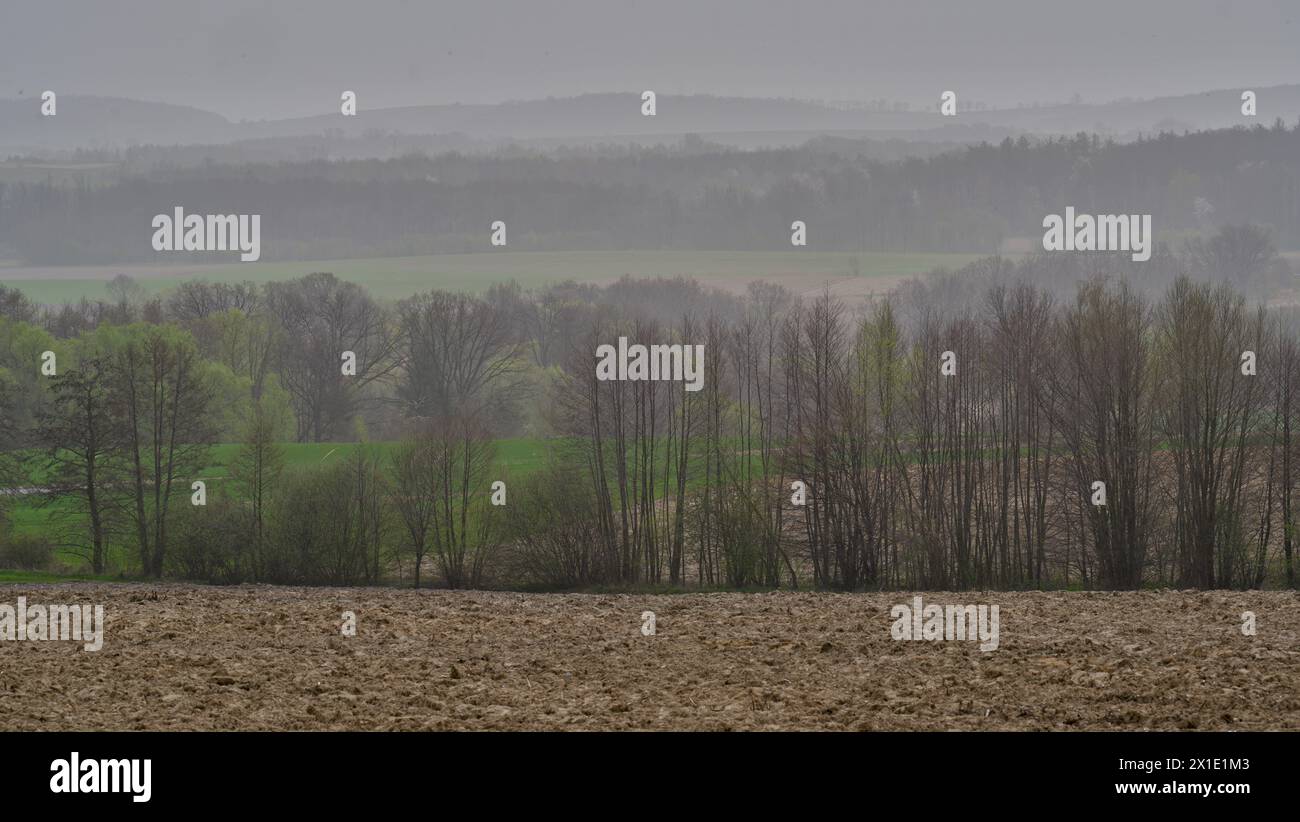 Paysage rural de basse Silésie Pologne au début du printemps Banque D'Images