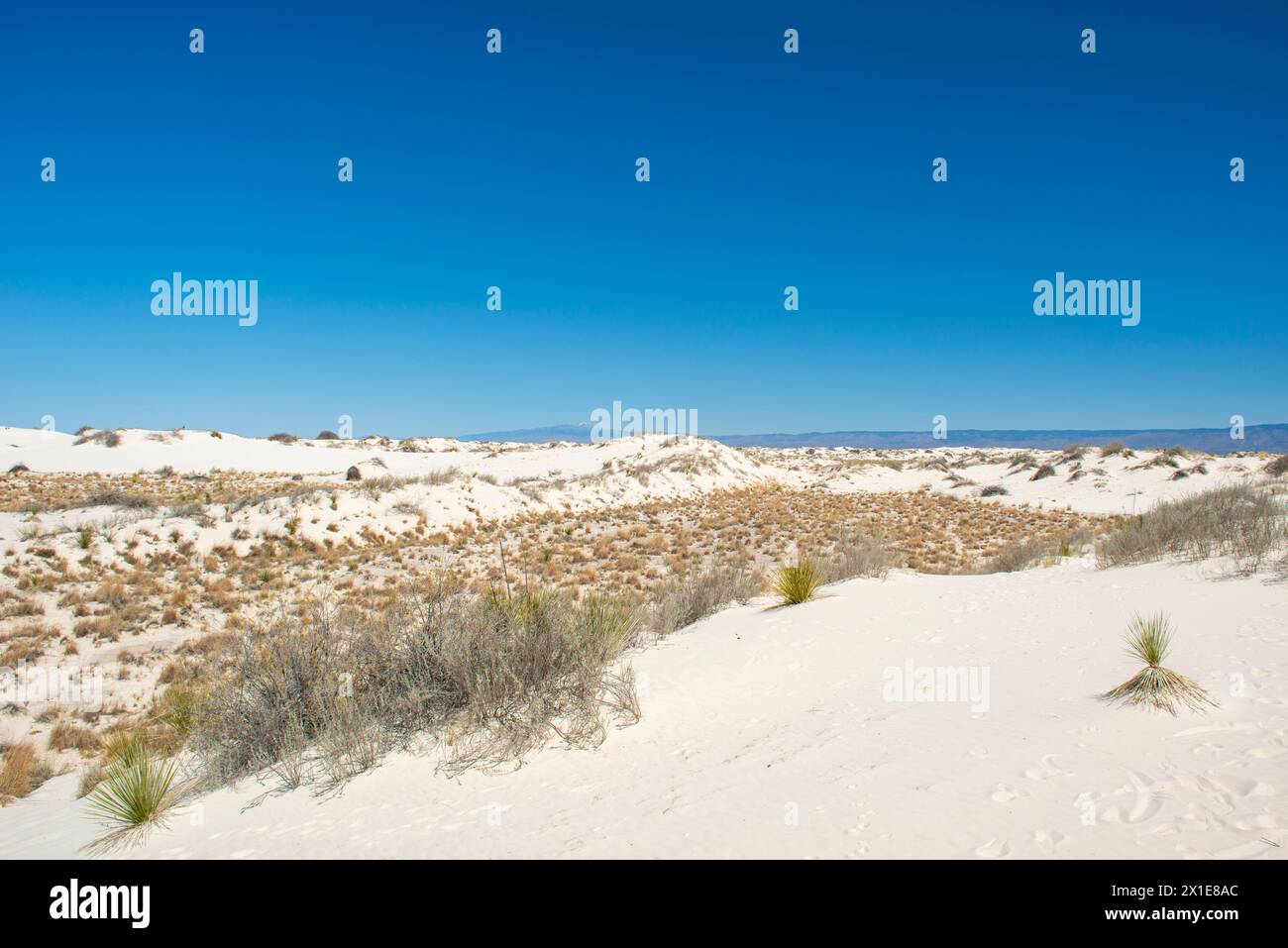 Parc national de White Sands au Nouveau-Mexique Banque D'Images