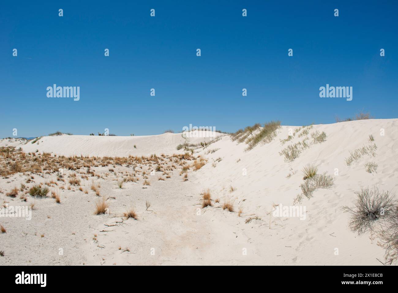 Parc national de White Sands au Nouveau-Mexique Banque D'Images