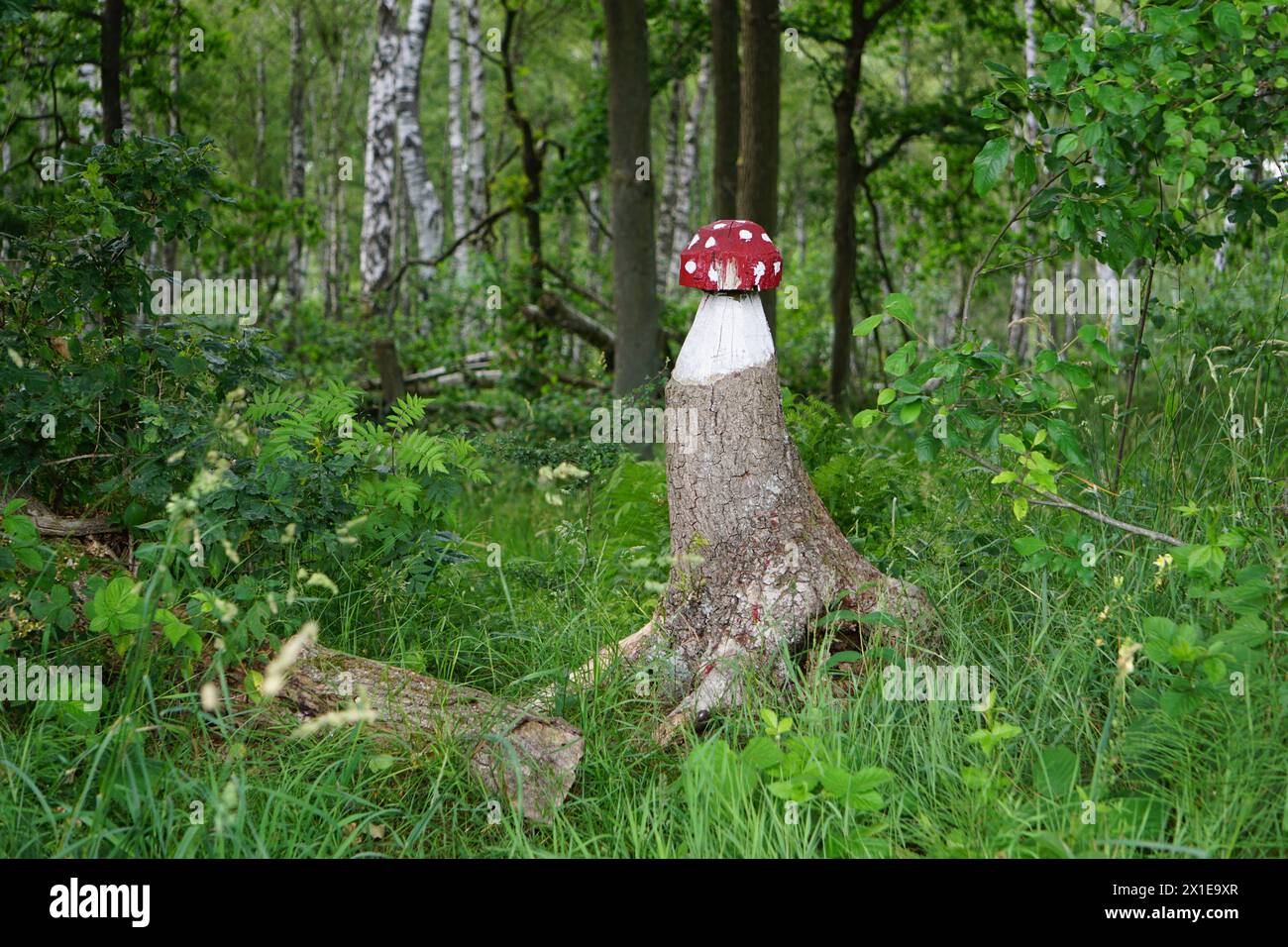 Sculpture sur bois de toadstool, Duvenstedter Brook, Hambourg, Allemagne Banque D'Images