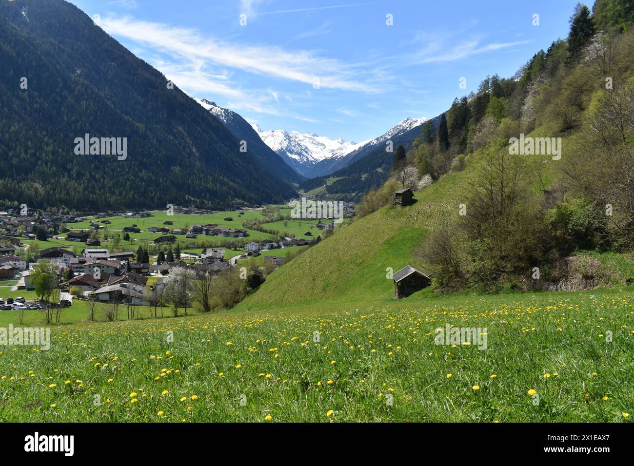 Vue de la belle vallée de Stubai sous le glacier de Stubai avec de petits villages. Autriche Alpes région du Tyrol. Banque D'Images