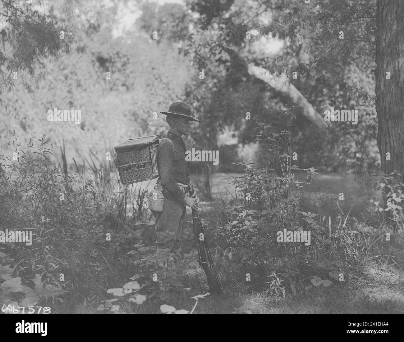 Section Pigeon, signal corps. Soldat entièrement équipé avec un panier de pigeons CA. probablement 1917-1919 Banque D'Images