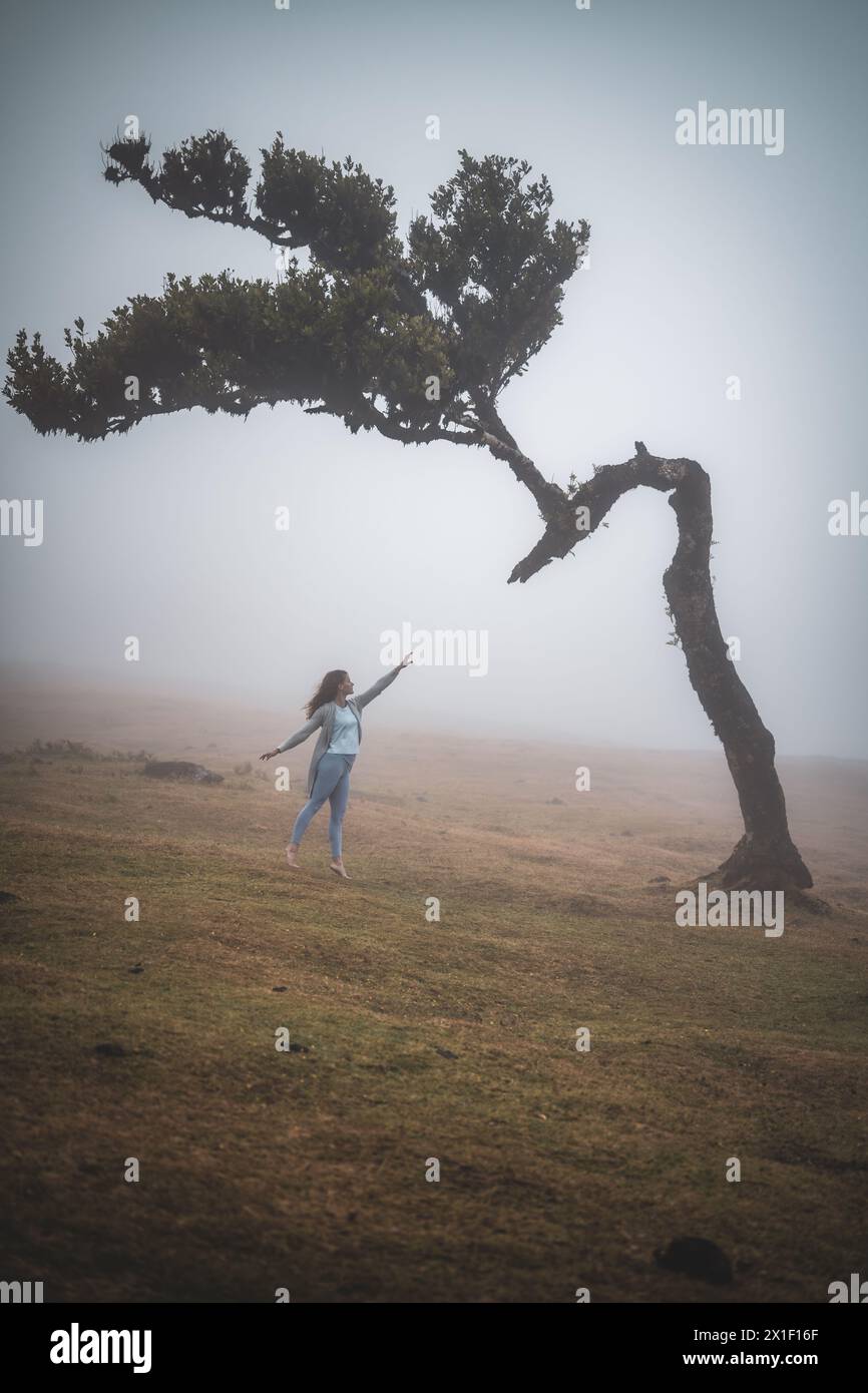 Description : une femme élégante dans une veste de coton atteint un laurier unique et esthétique dans un champ plat et brumeux. Forêt de Fanal, île de Madère, Portu Banque D'Images