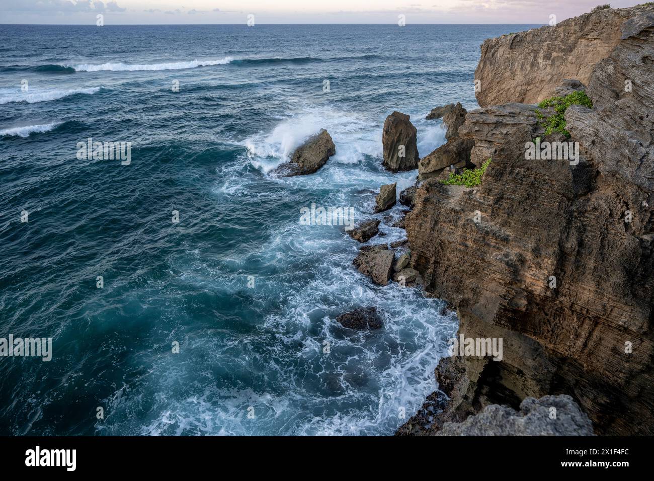 Les eaux turquoises rugueuses de l'océan Pacifique sculptent des falaises déchiquetées dans la roche volcanique le long de la côte de Koloa, Hawaï sur l'île de Kauai Banque D'Images