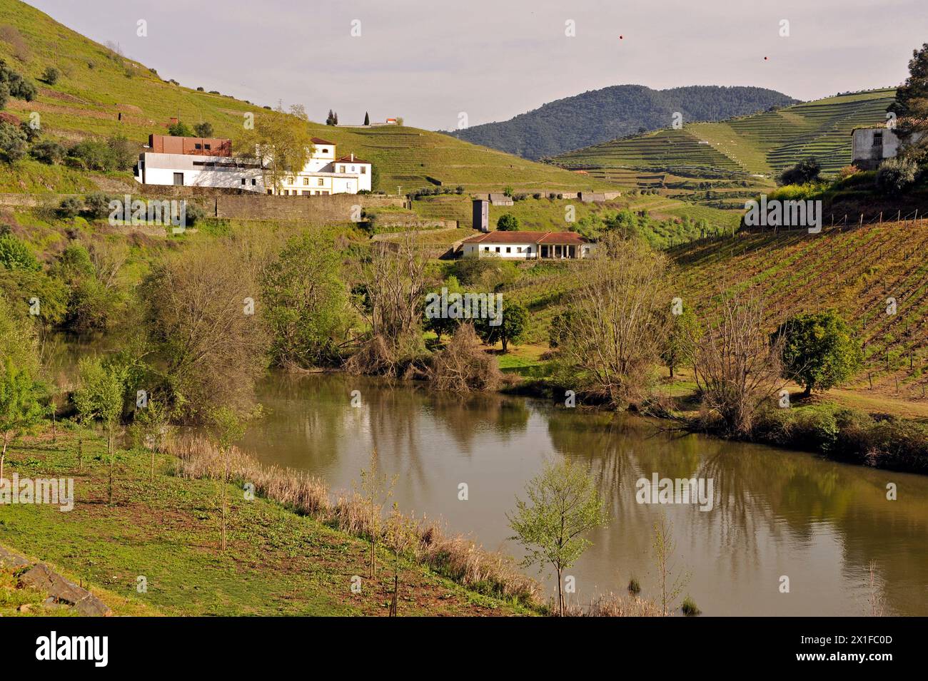 Vignoble et cave dans la vallée du fleuve Douro près de Pinhao, Portugal, Europe Banque D'Images