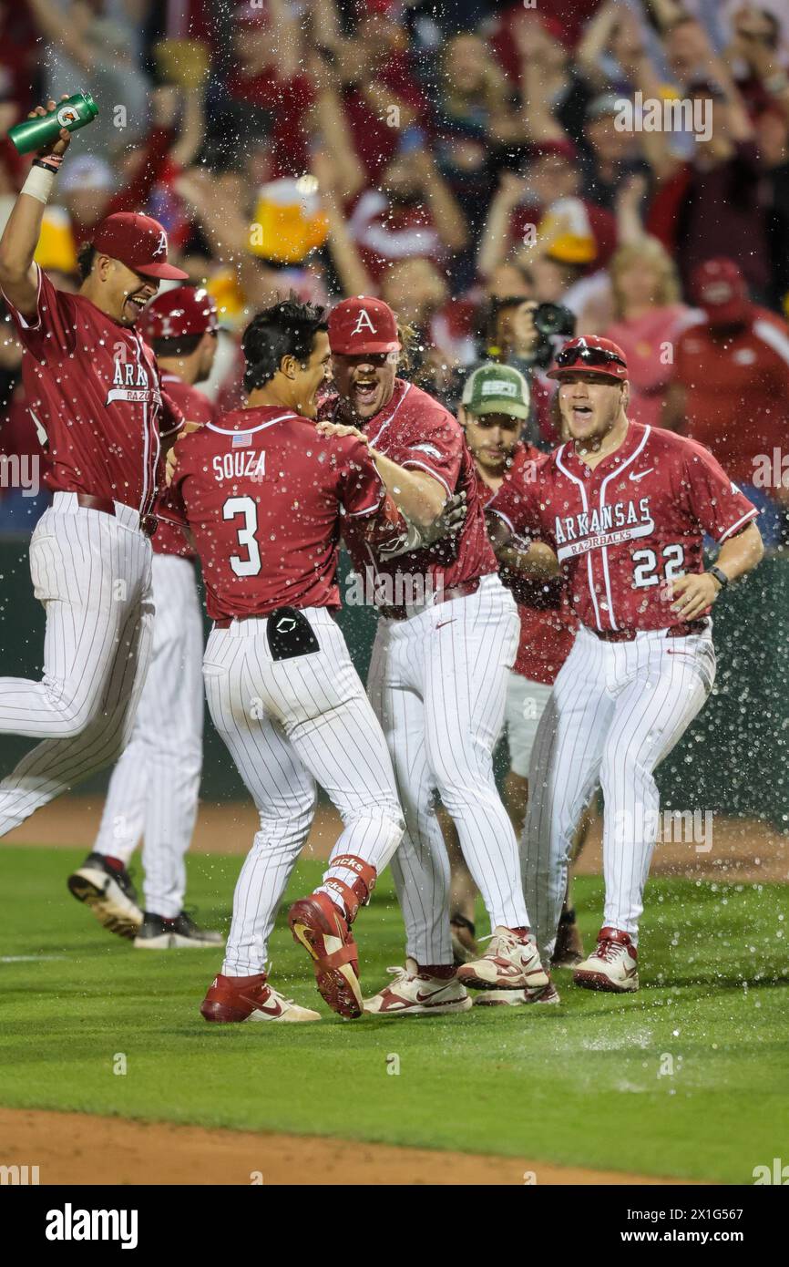 16 avril 2024 : le banc de l'Arkansas se libère pour célébrer avec Nolan Souza #3 après qu'il a frappé le jeu gagnant sacrifice fly pour marquer la course gagnante. L'Arkansas a battu Texas Tech 9-8 à Fayetteville, AR. Richey Miller/CSM(image crédit : © Richey Miller/Cal Sport Media) Banque D'Images