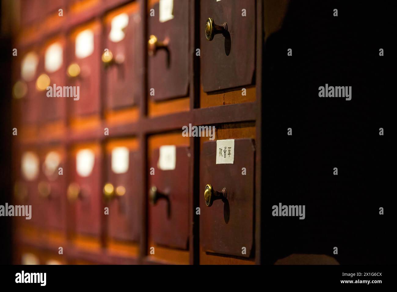 Gros plan de l'armoire de médecine à base de plantes dans le dispensaire de médecine traditionnelle chinoise Banque D'Images